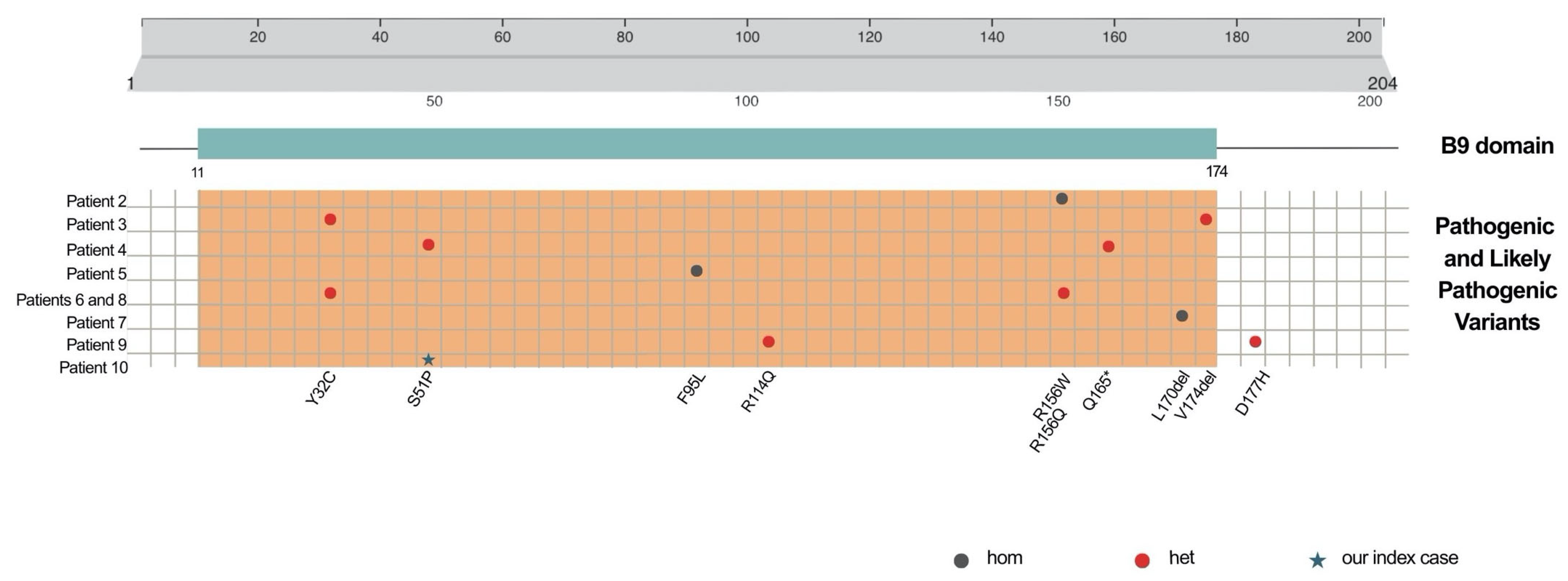 Genes 16 00643 g003 Genes 16 00643 g003