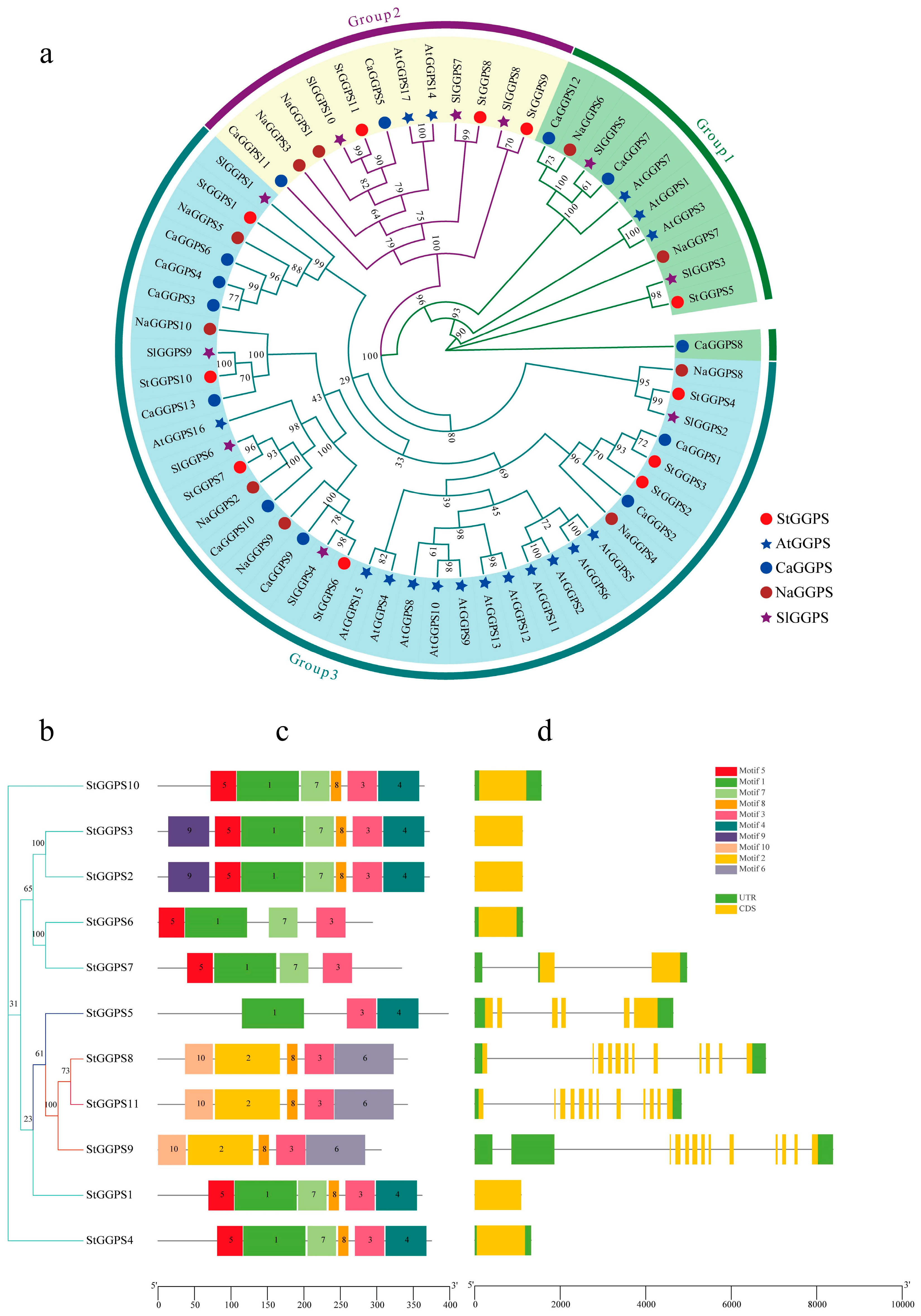 Genes 16 00646 g001 Genes 16 00646 g001