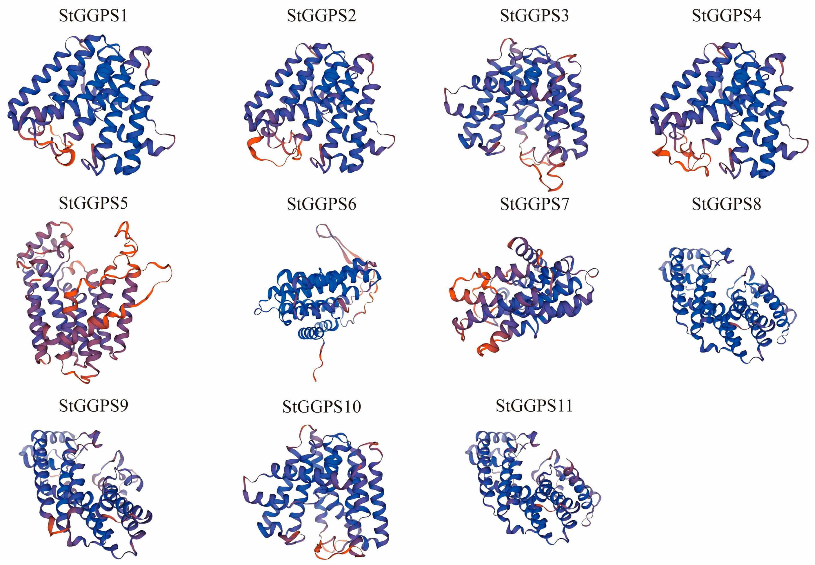 Genes 16 00646 g002 Genes 16 00646 g002