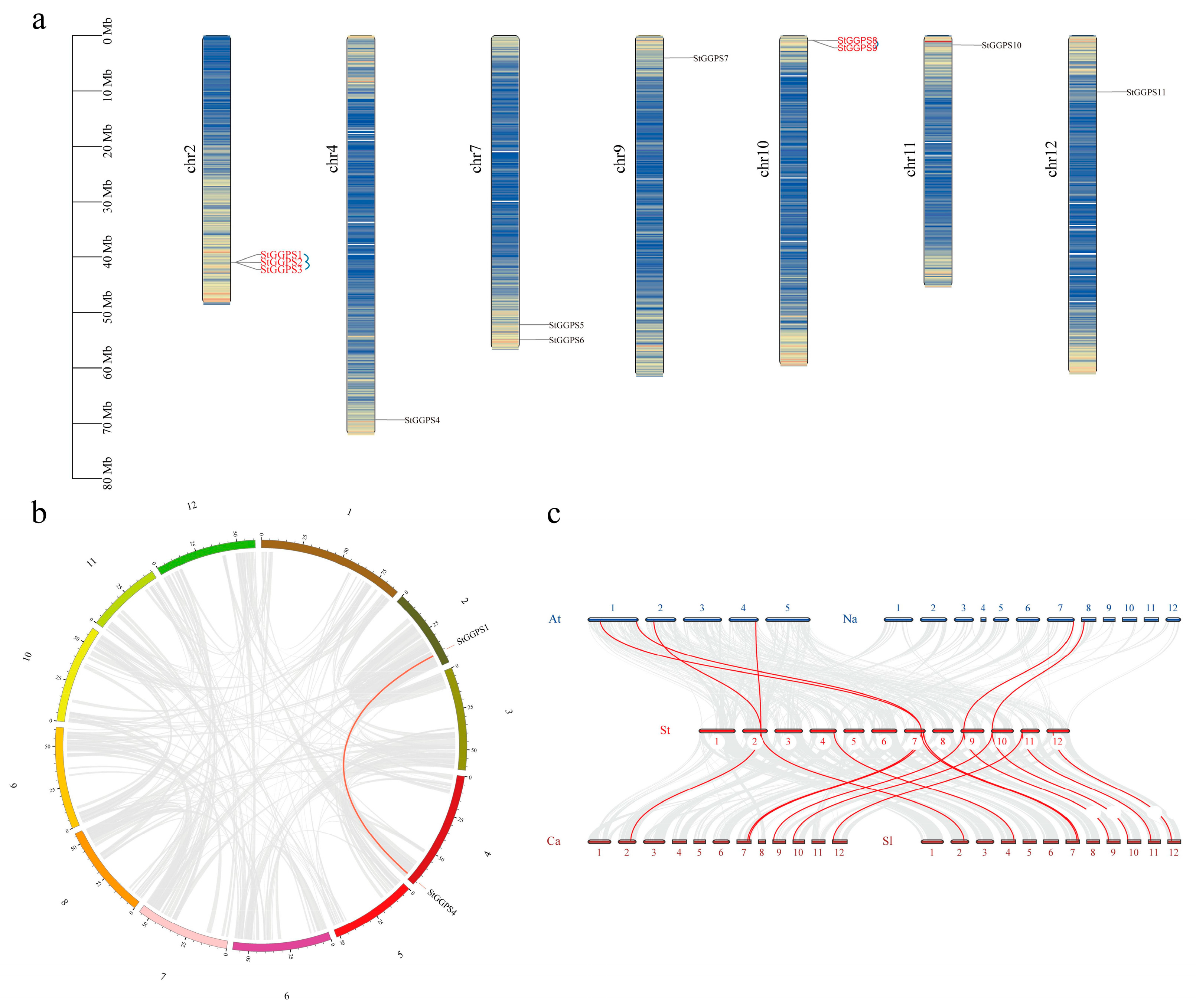 Genes 16 00646 g003 Genes 16 00646 g003
