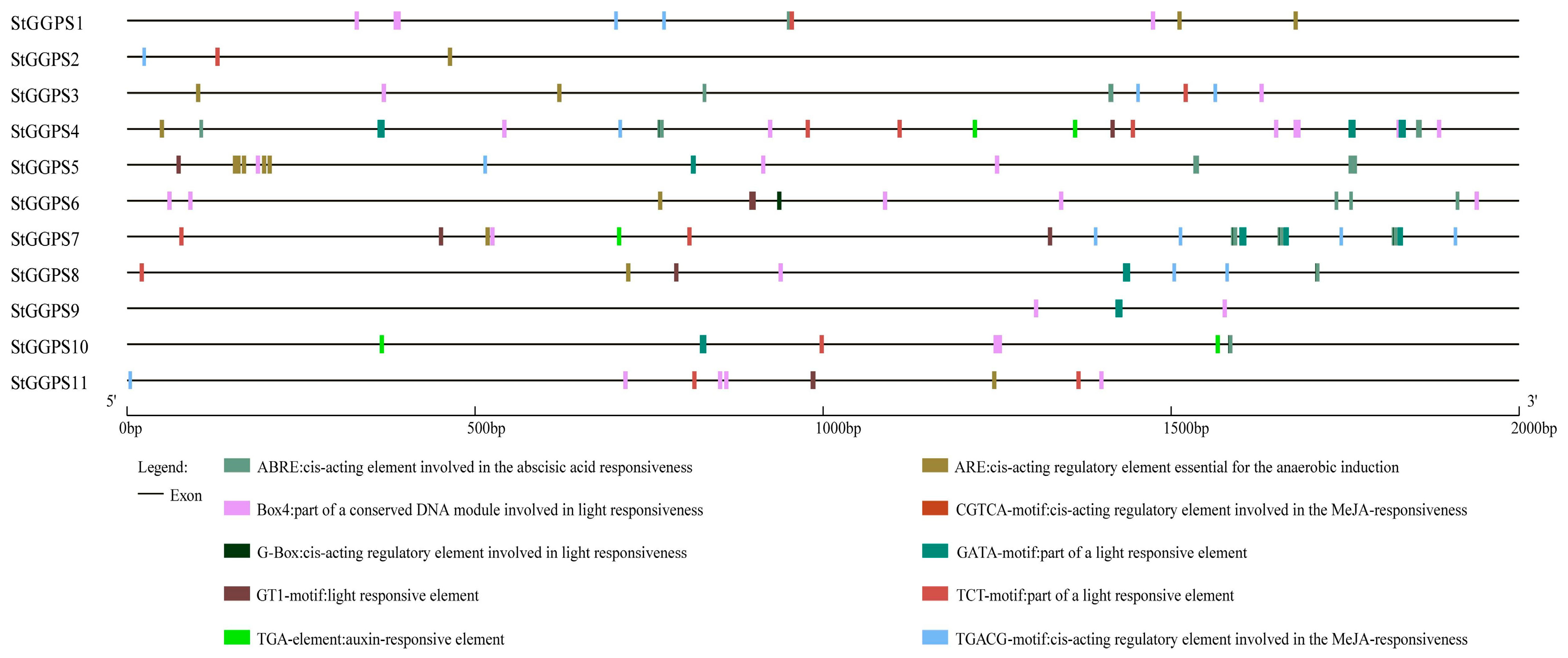 Genes 16 00646 g004 Genes 16 00646 g004