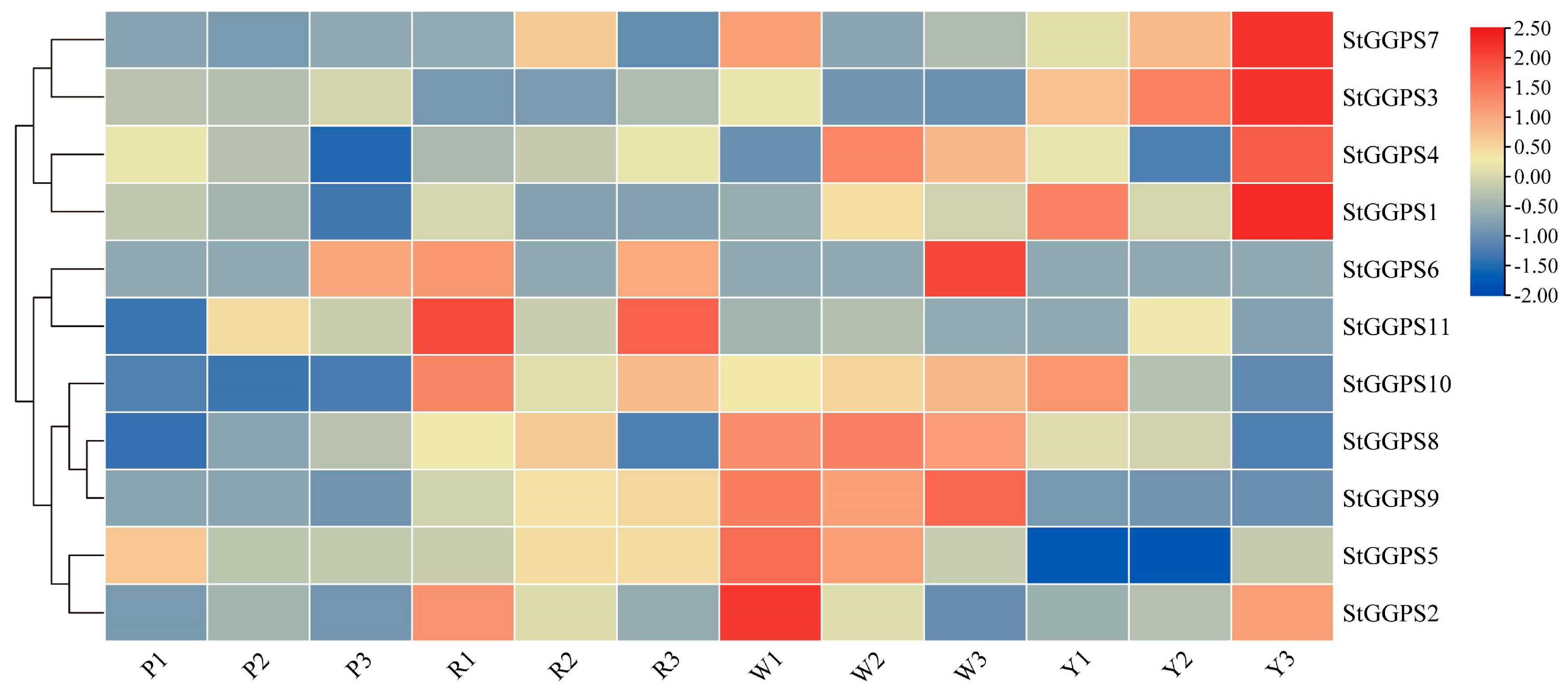 Genes 16 00646 g005 Genes 16 00646 g005