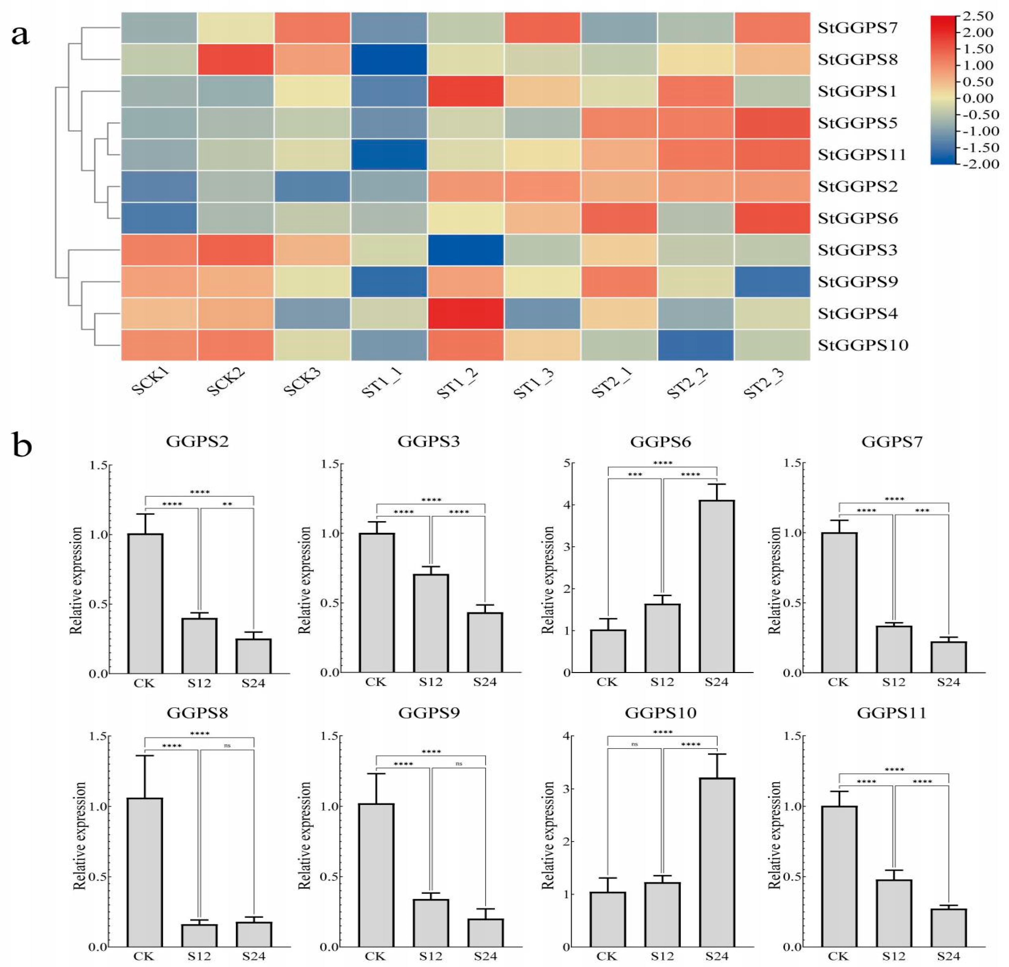 Genes 16 00646 g007 Genes 16 00646 g007