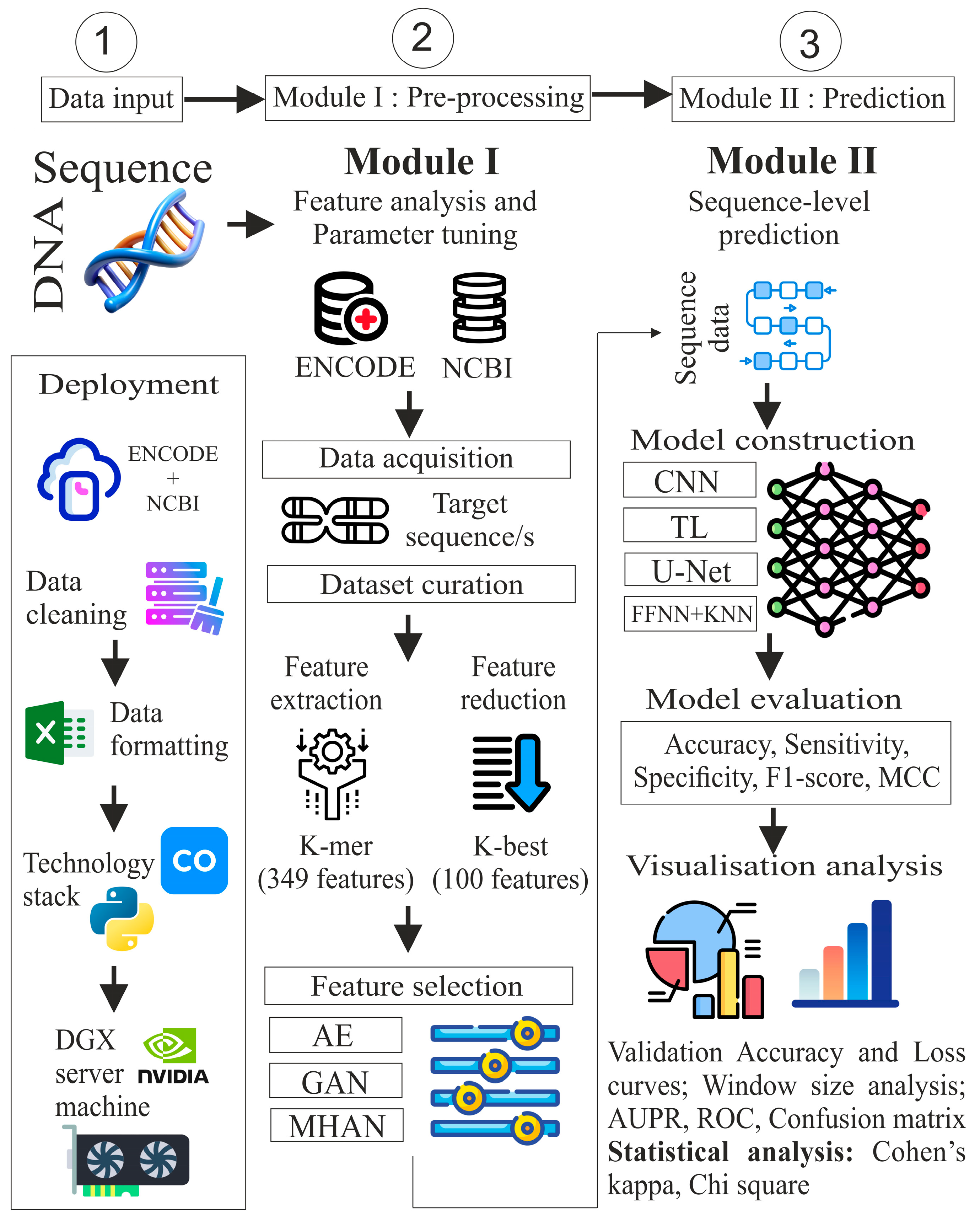 Genes 16 00655 g002