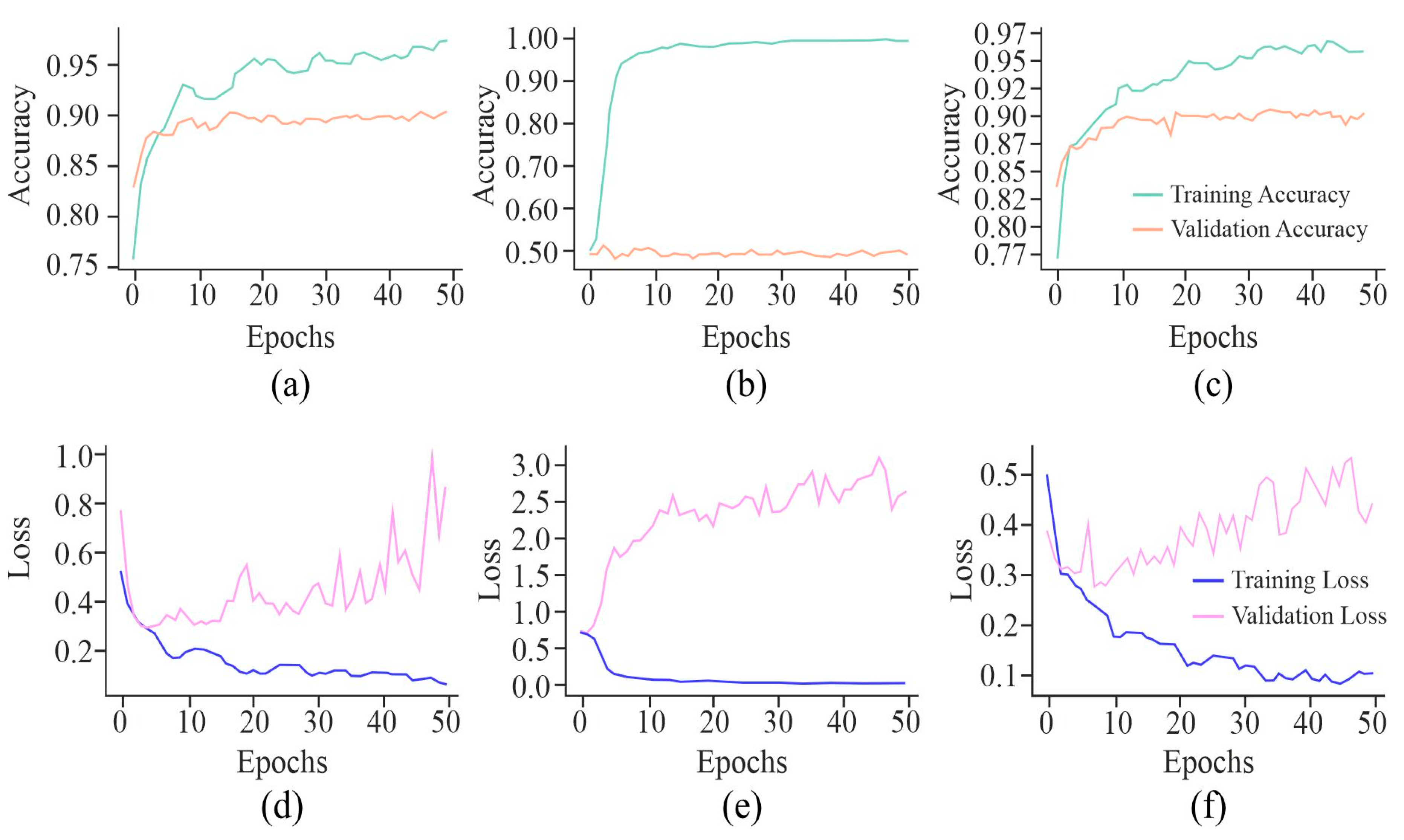Genes 16 00655 g008