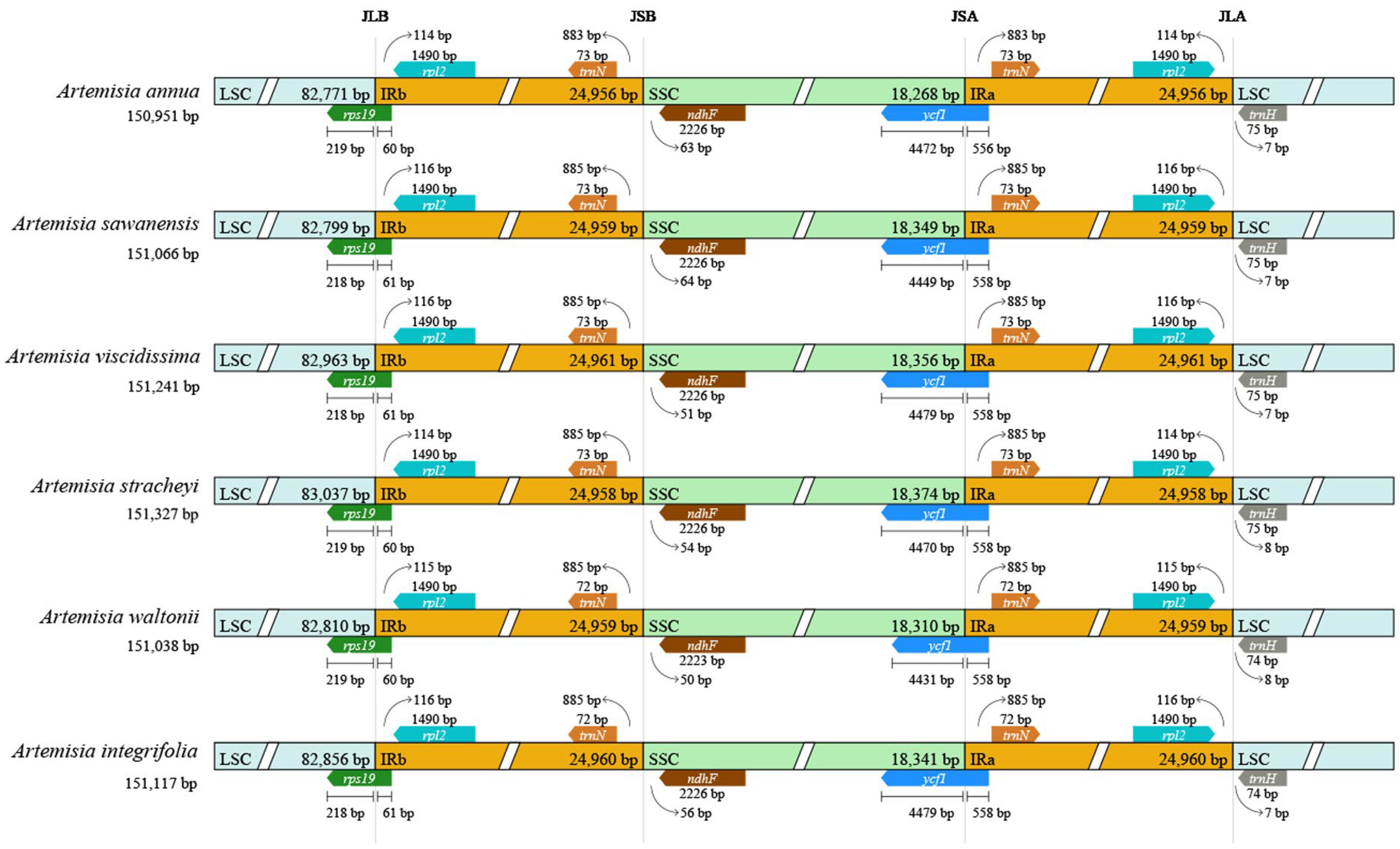 Genes 16 00659 g002