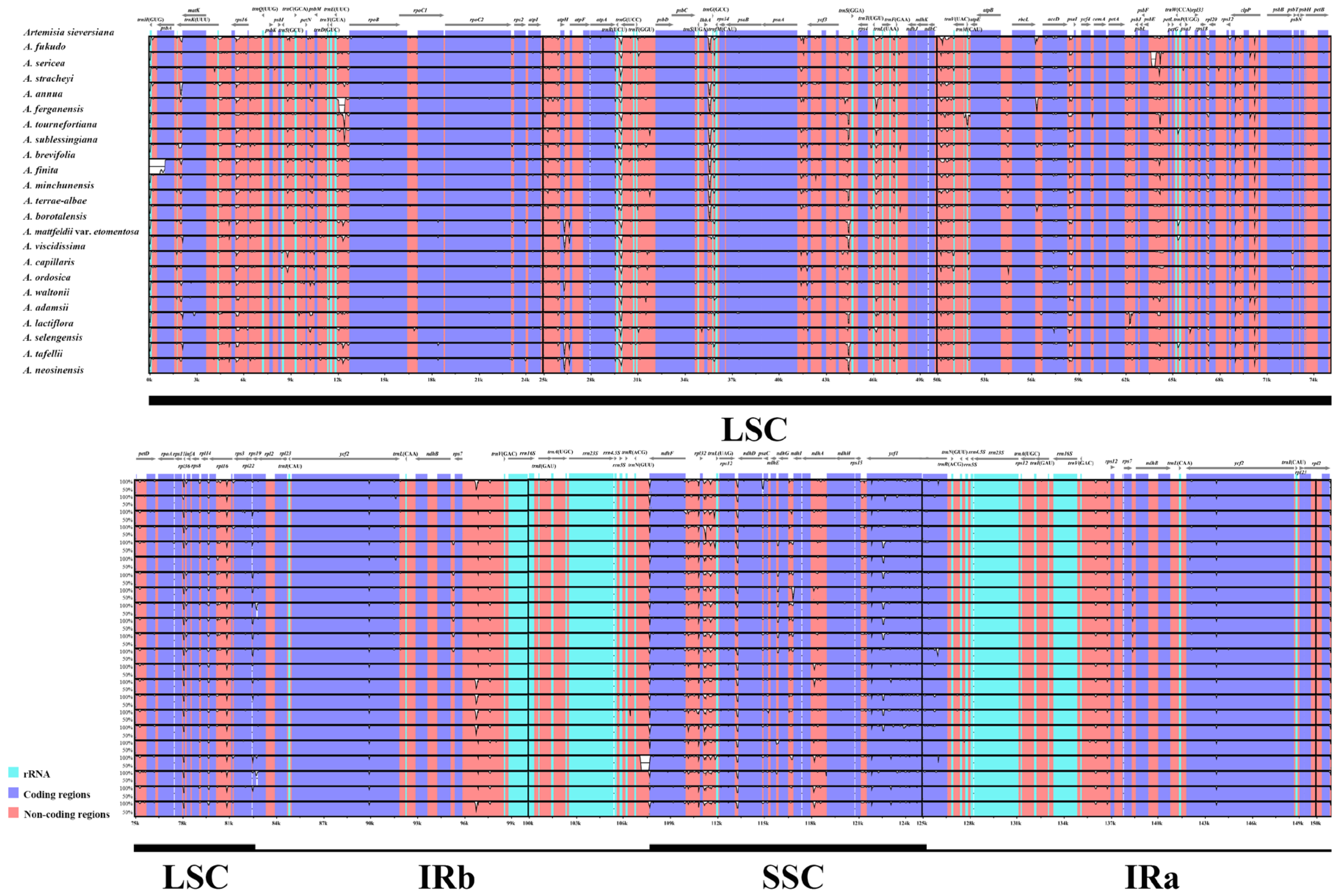 Genes 16 00659 g003