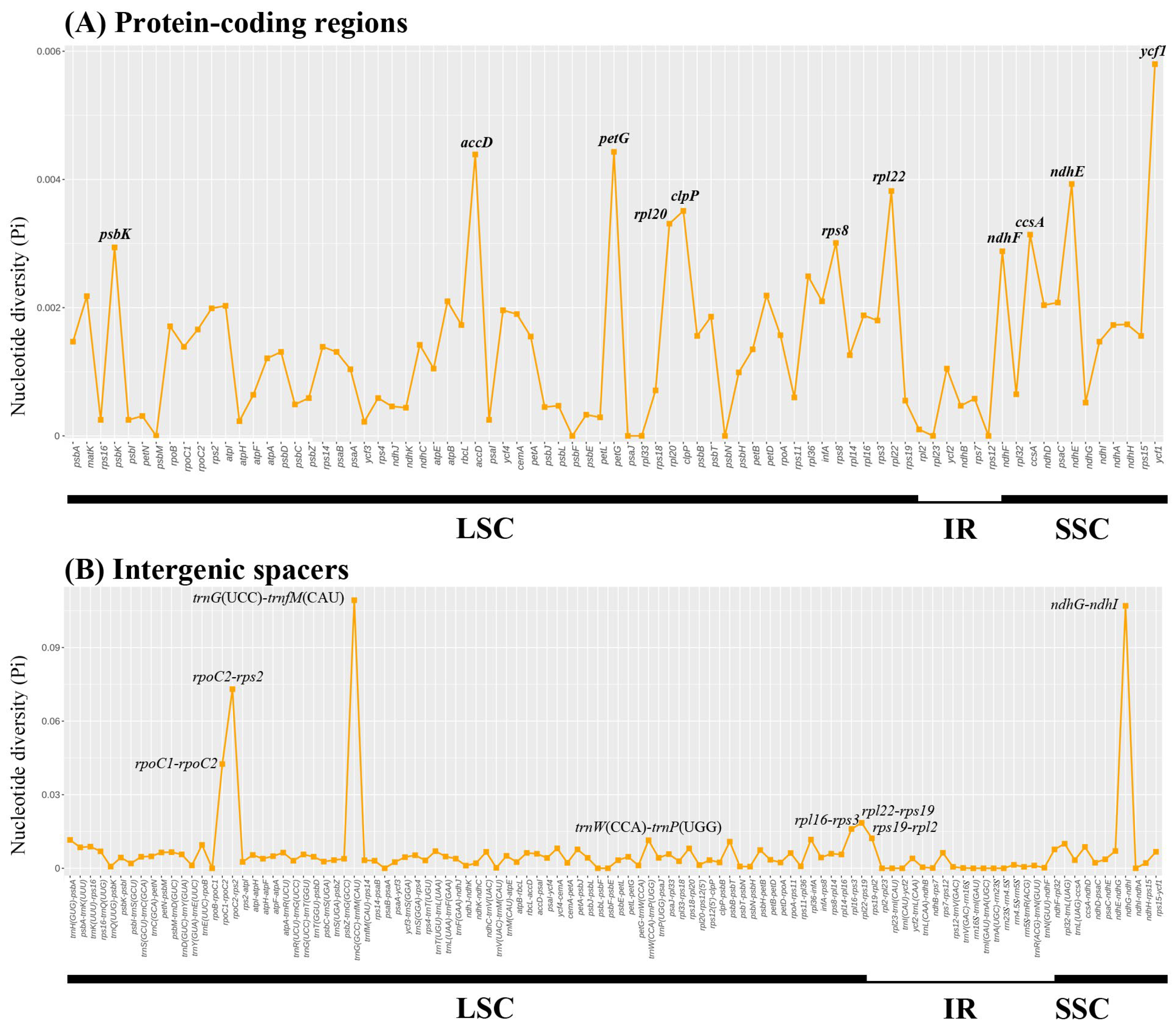 Genes 16 00659 g004