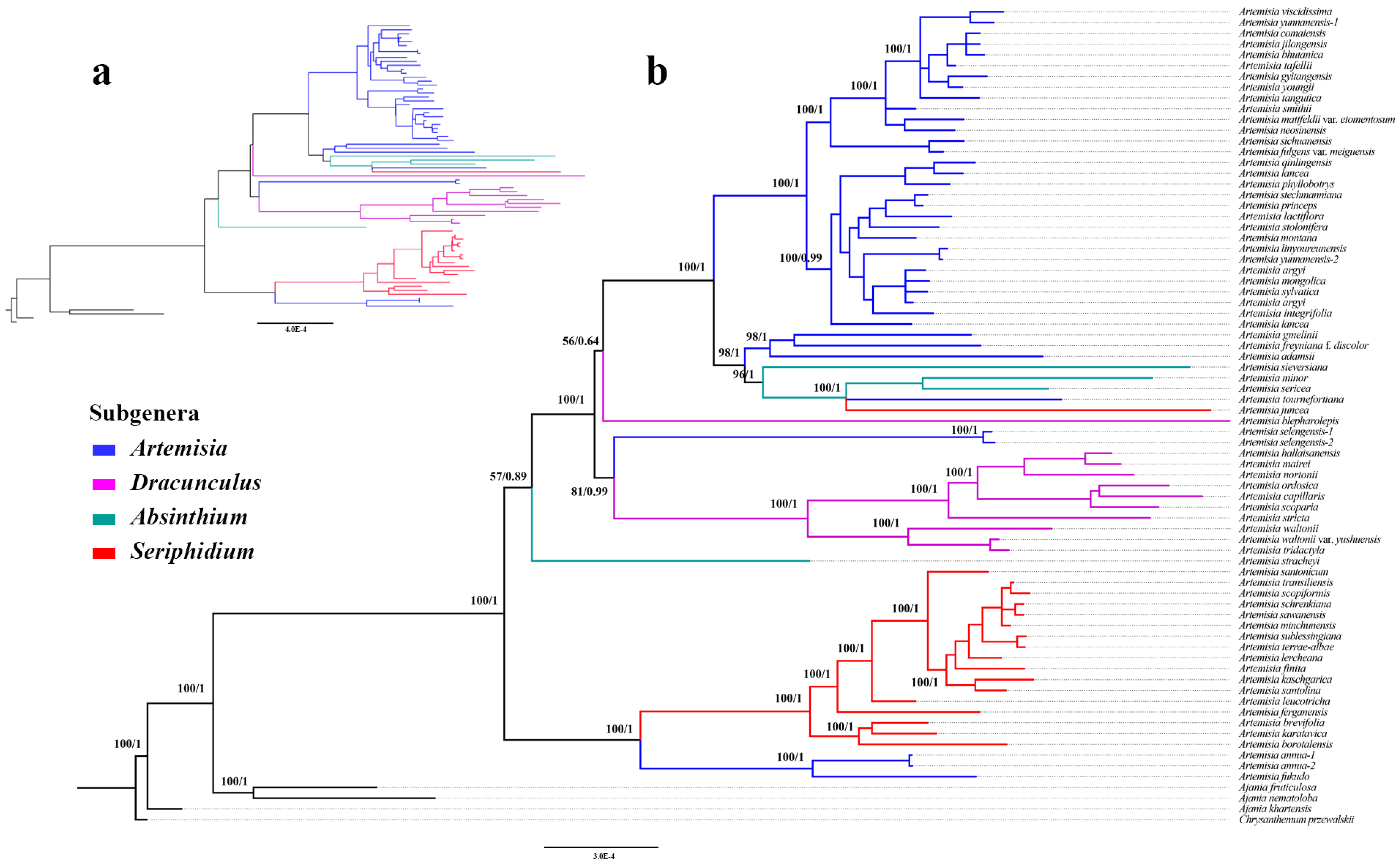 Genes 16 00659 g006