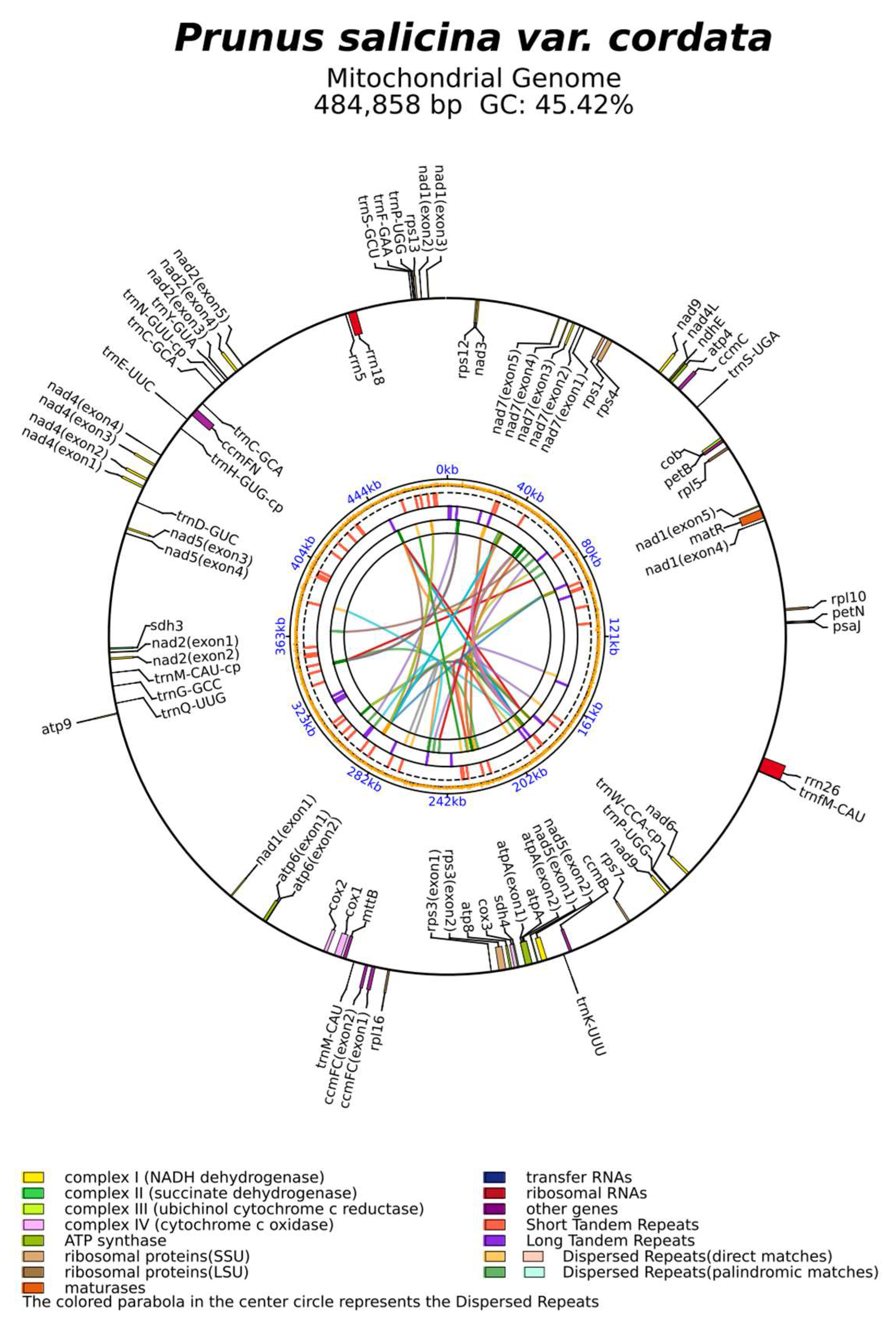Genes 16 00660 g002 Genes 16 00660 g002