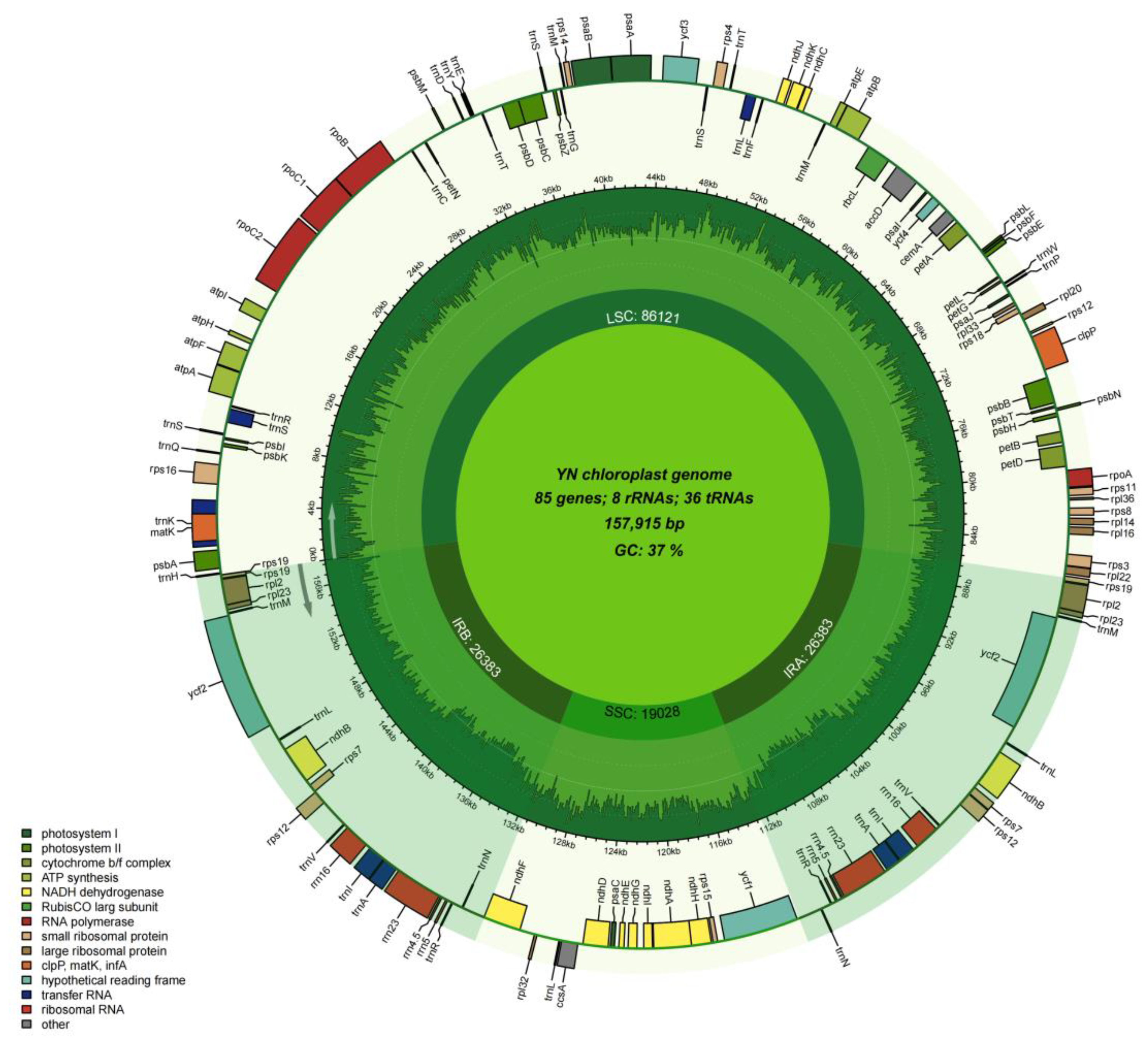 Genes 16 00660 g005 Genes 16 00660 g005