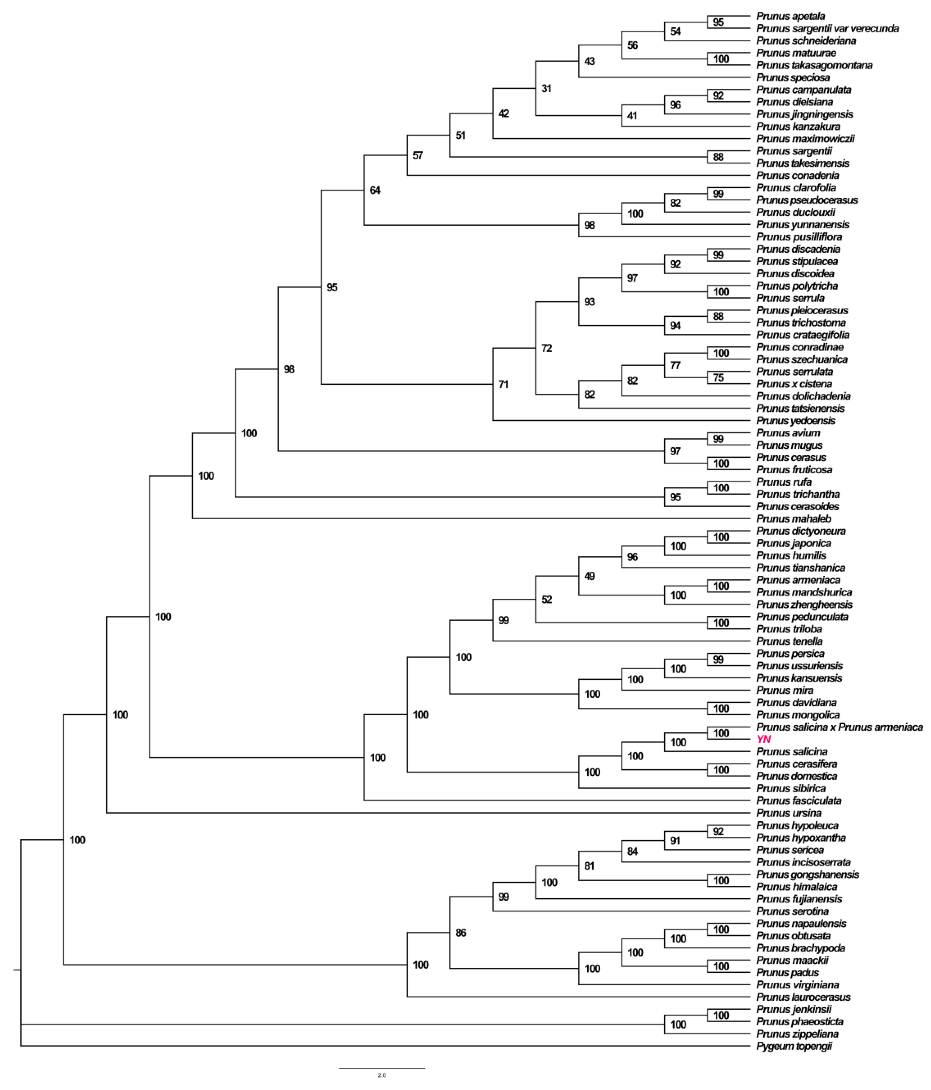 Genes 16 00660 g006 Genes 16 00660 g006