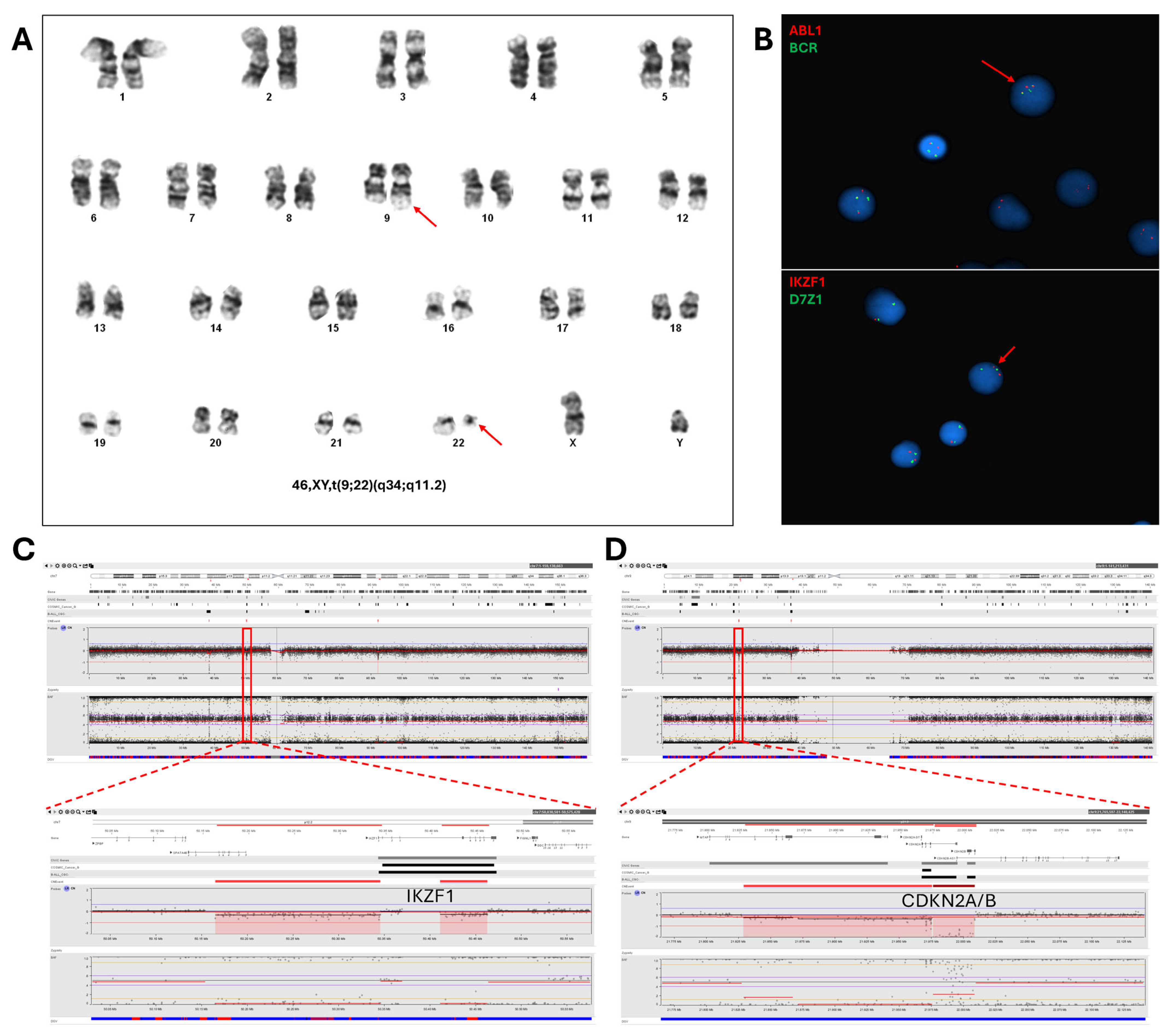 Genes 16 00688 g001 Genes 16 00688 g001