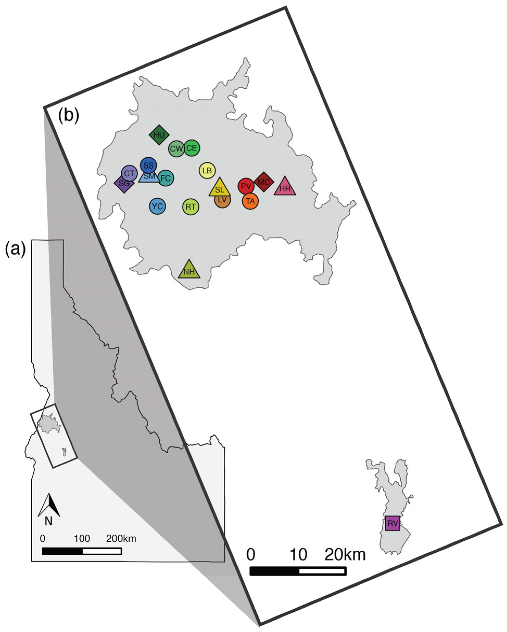 Genes 16 00694 g001