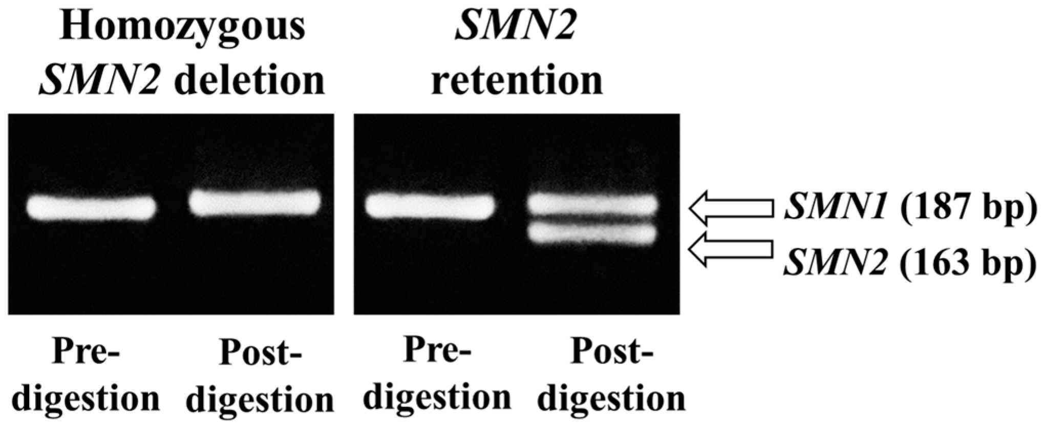 Genes 16 00712 g004 Genes 16 00712 g004