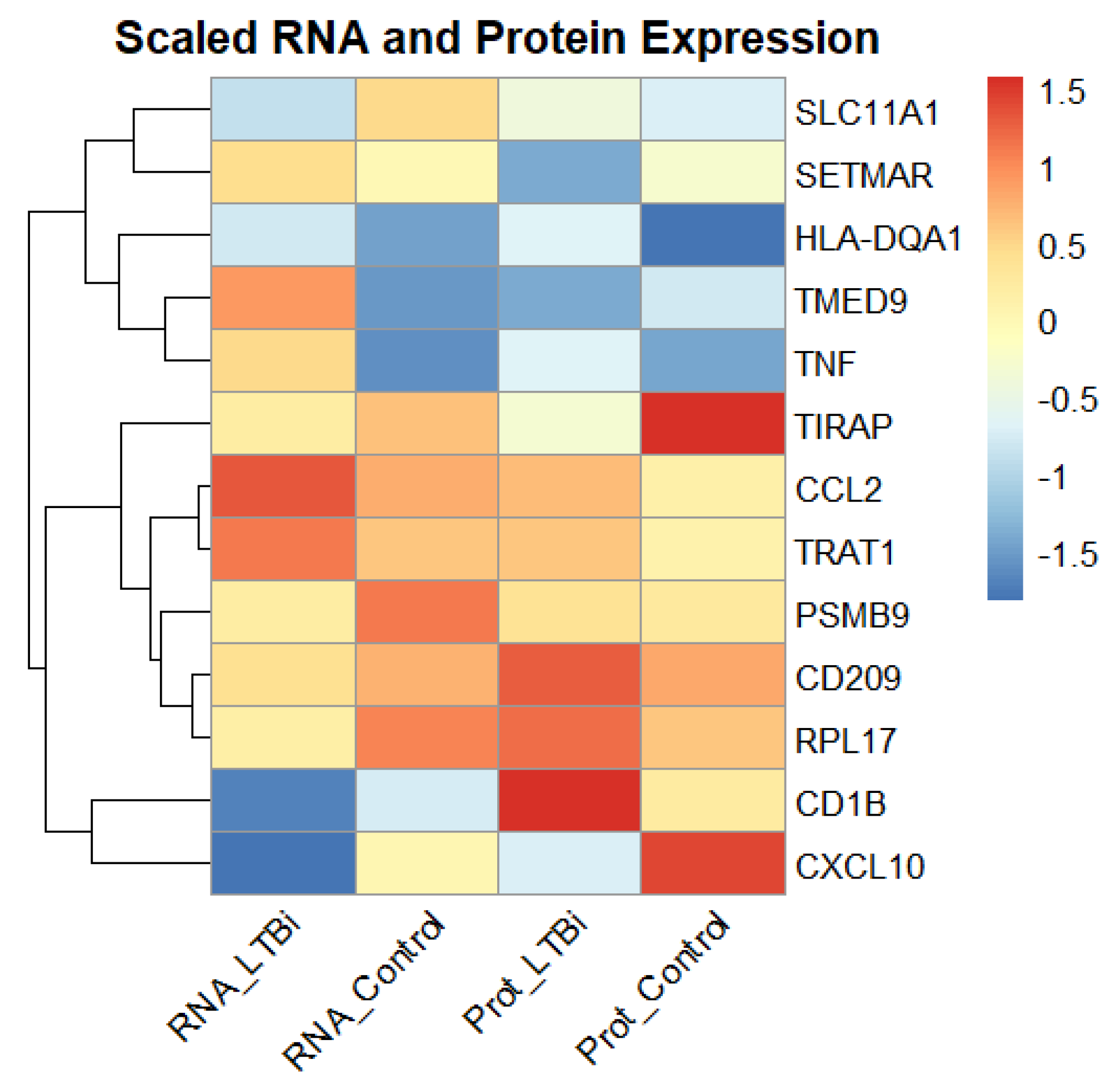 Genes 16 00715 g007 Genes 16 00715 g007