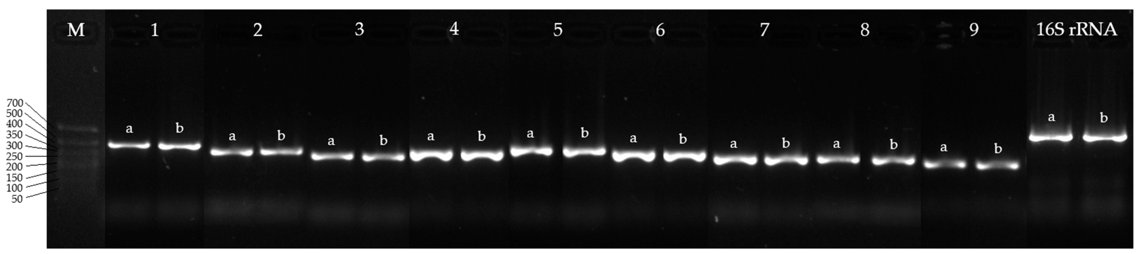 Genes 16 00739 g005