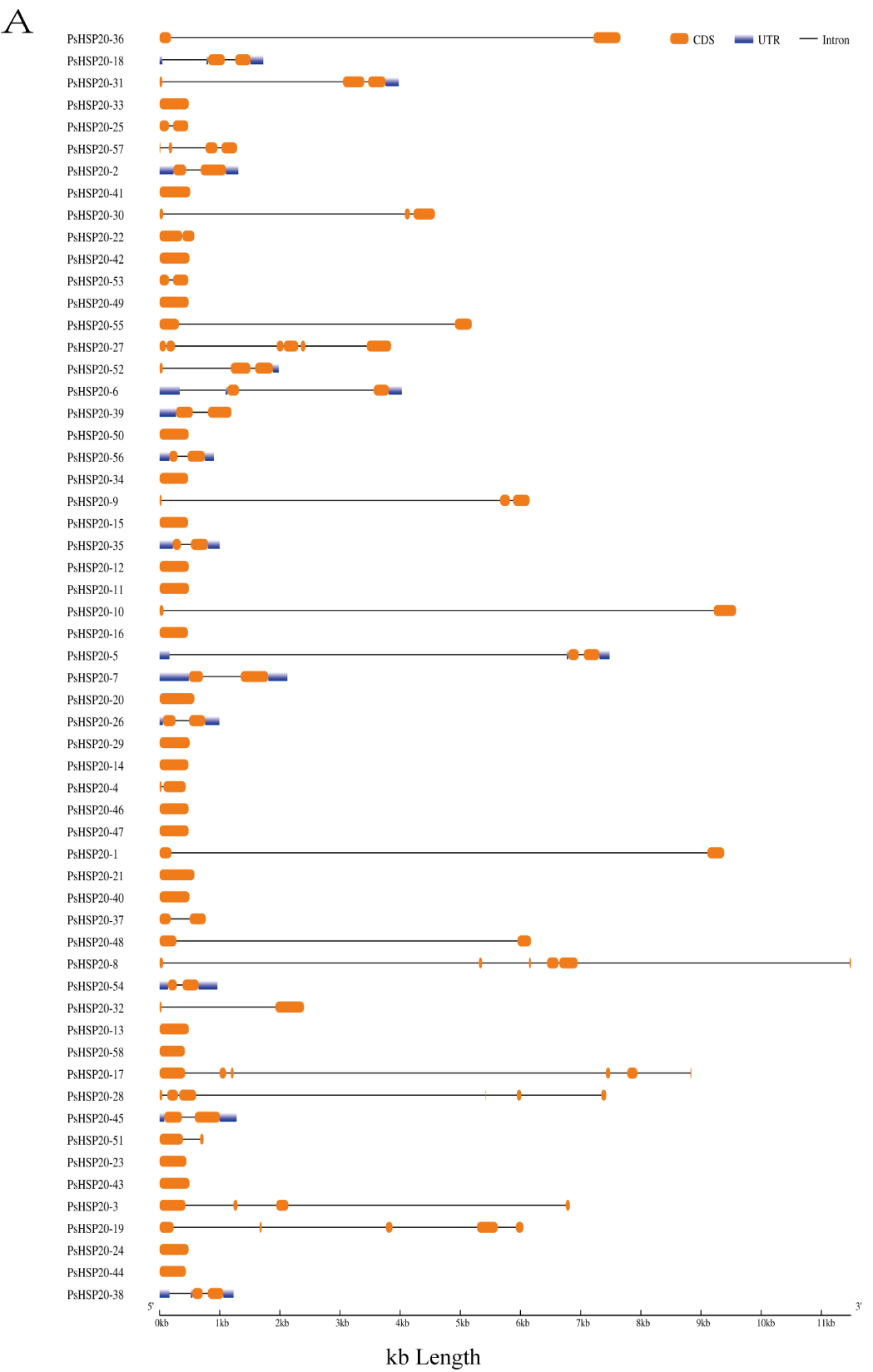 Genes 16 00742 g001a
