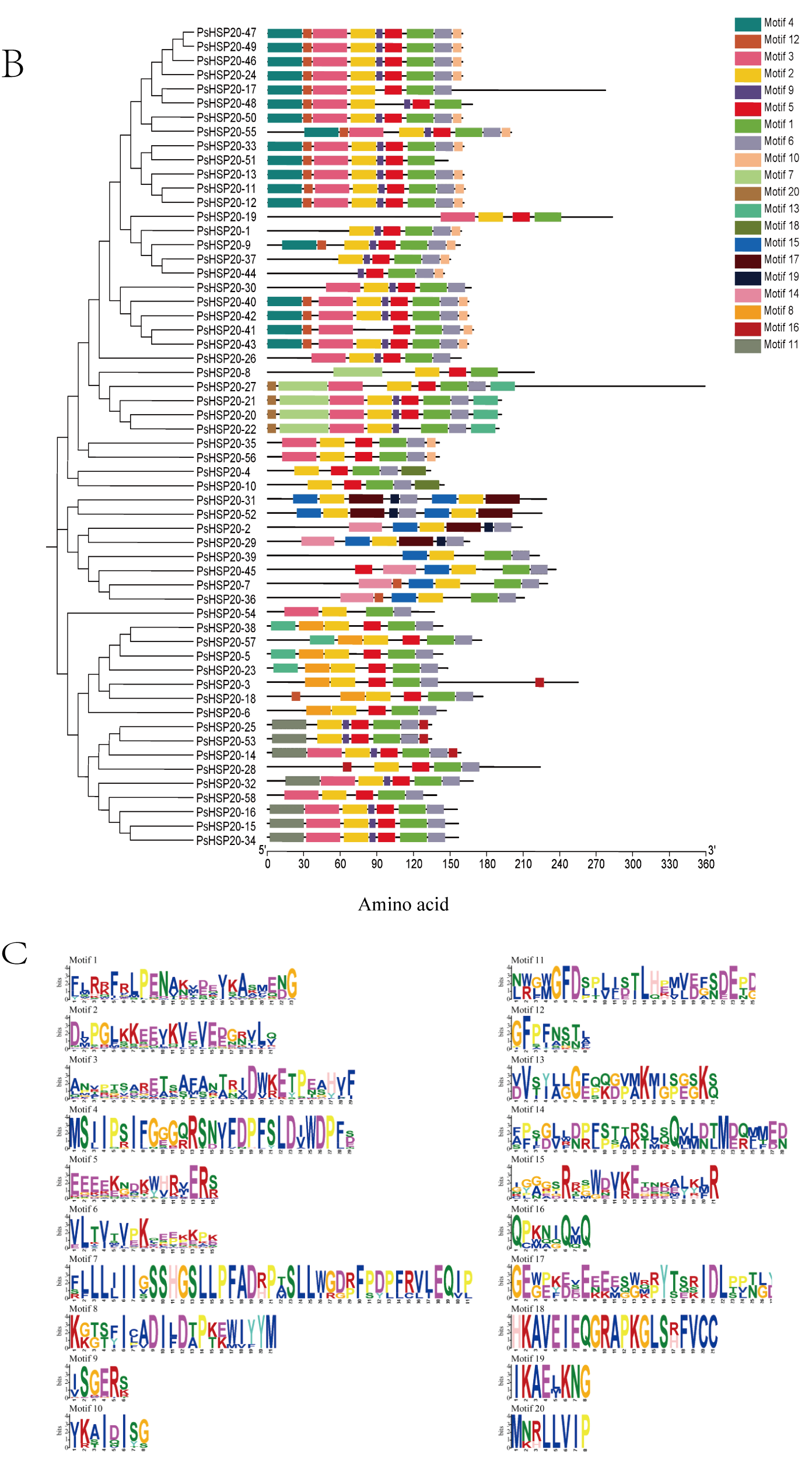 Genes 16 00742 g001b