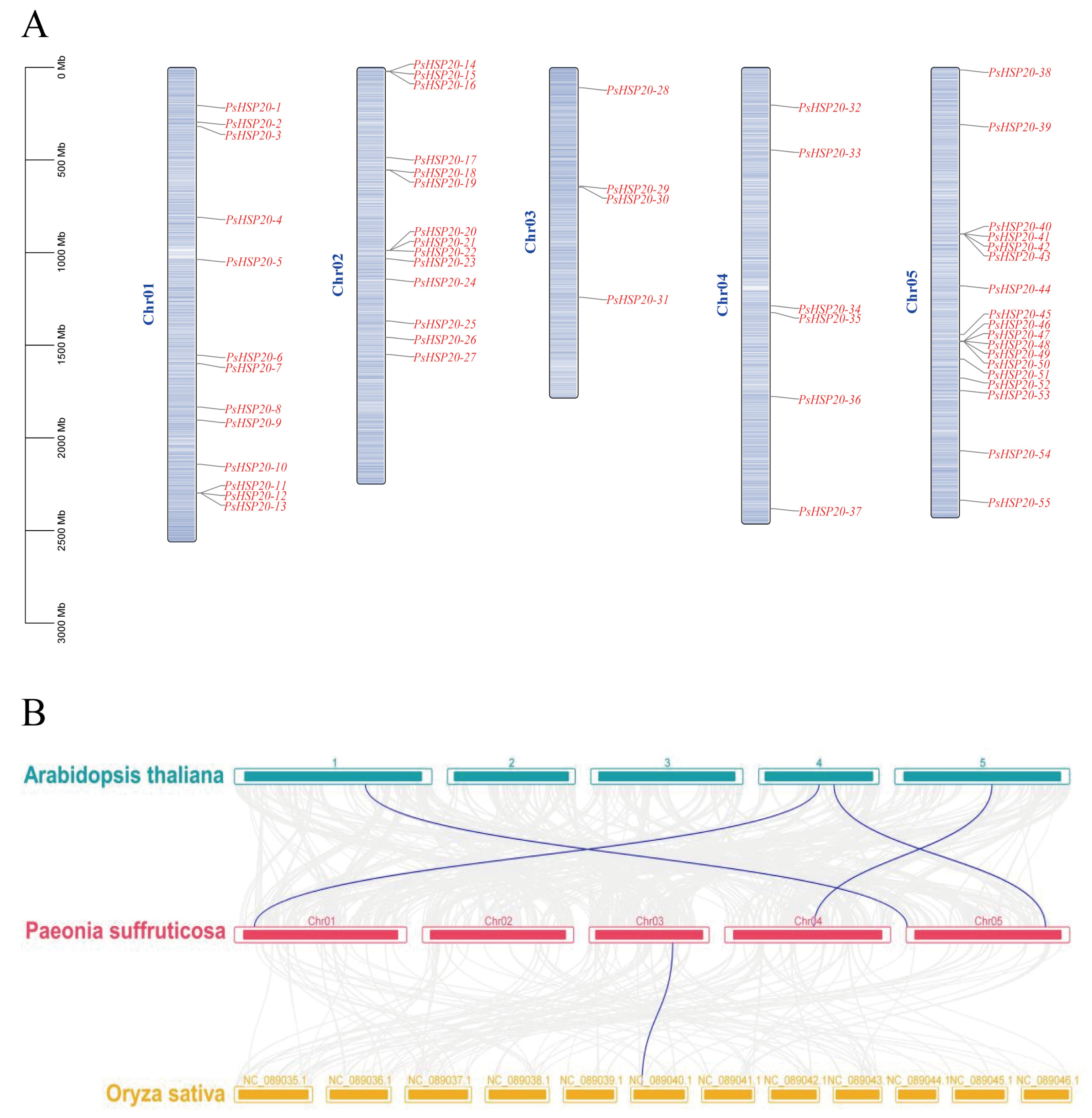 Genes 16 00742 g003