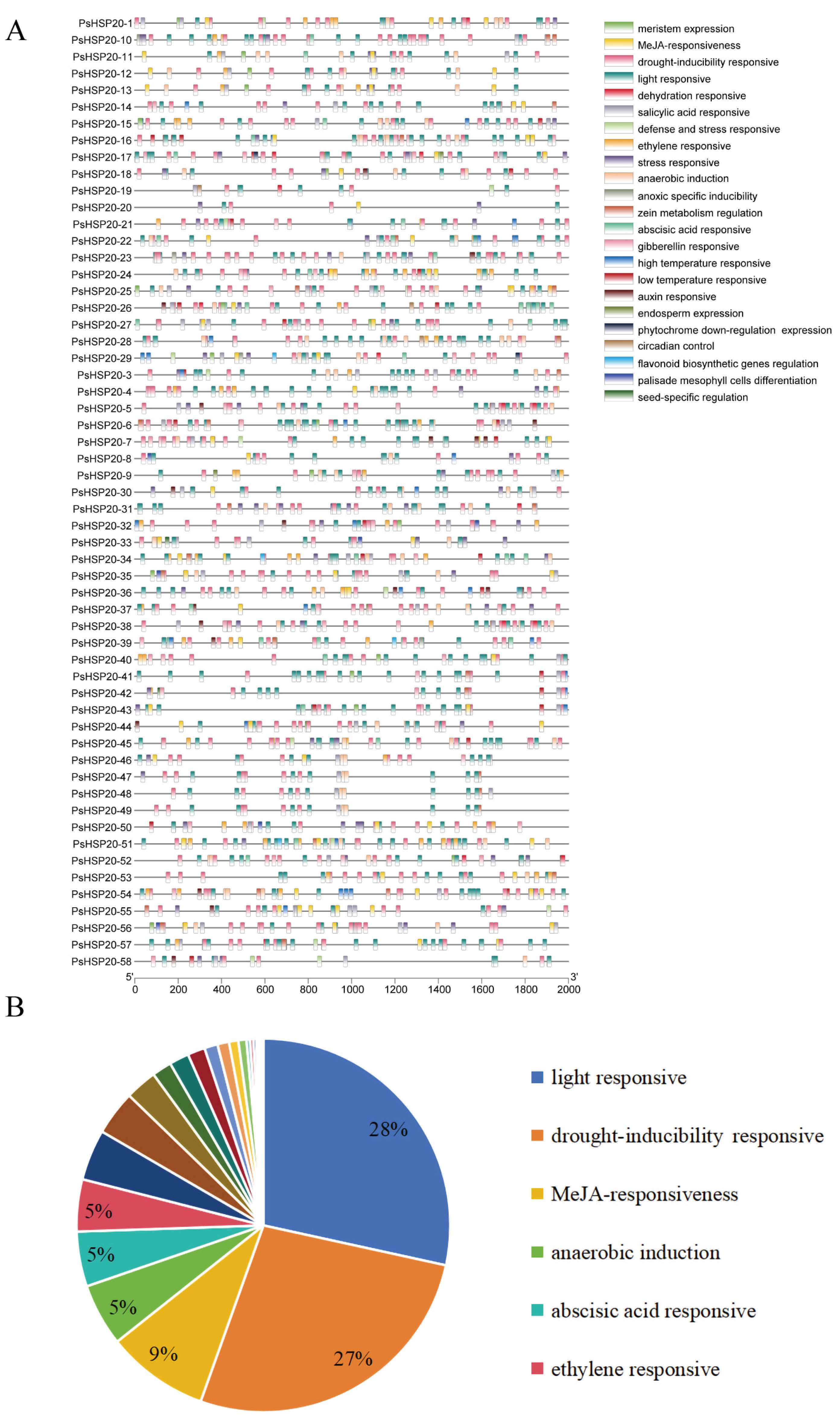 Genes 16 00742 g005