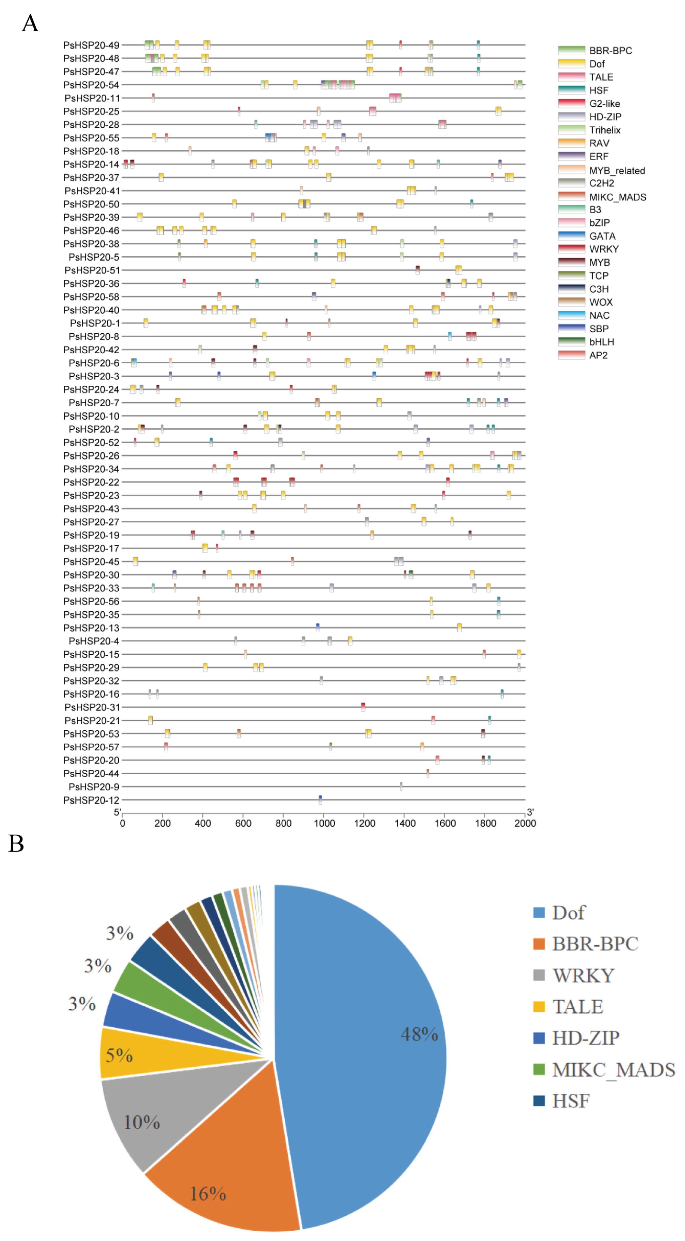 Genes 16 00742 g006