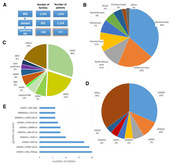 Genes 16 00745 g001