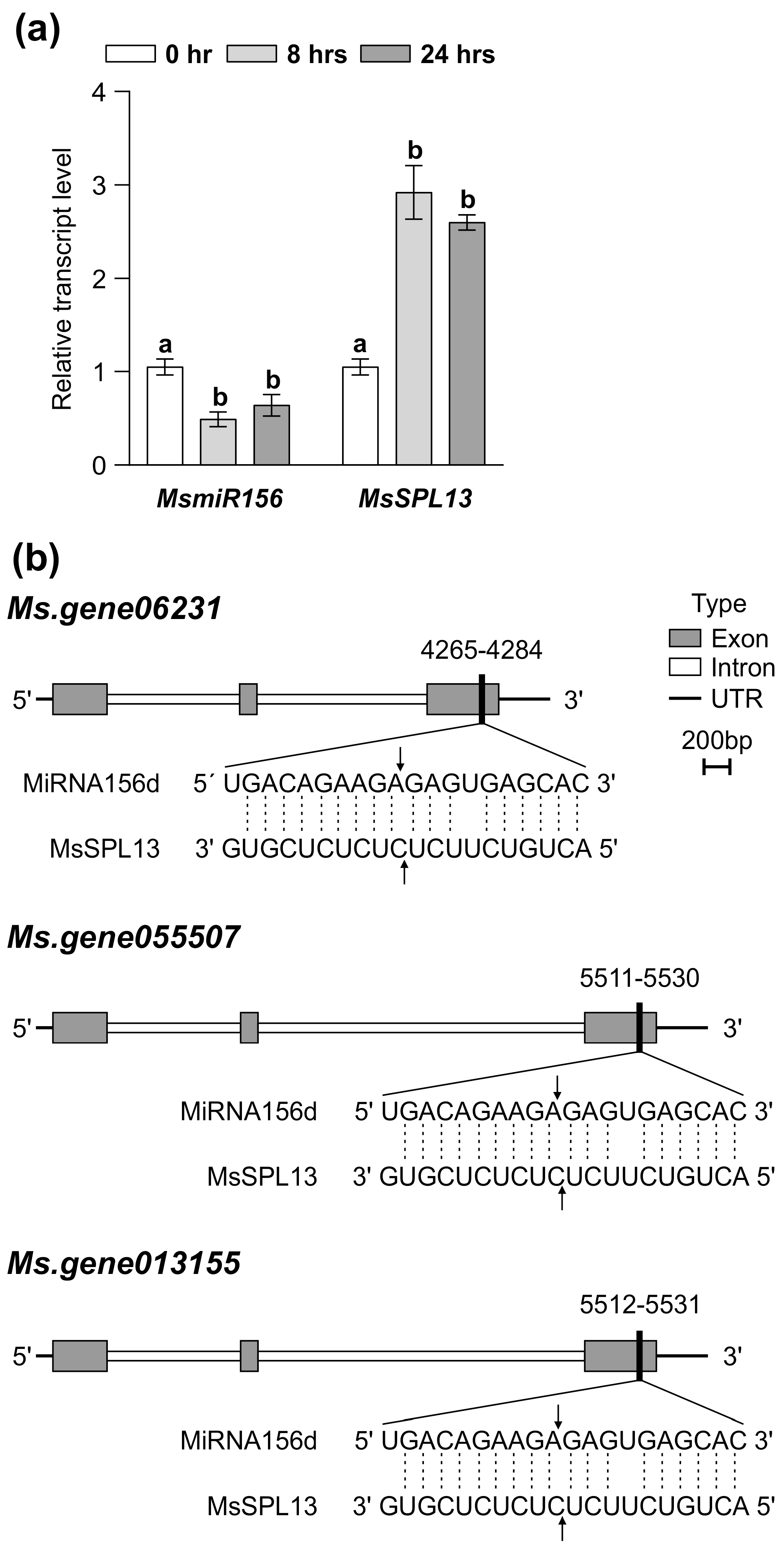 Genes 16 00751 g003
