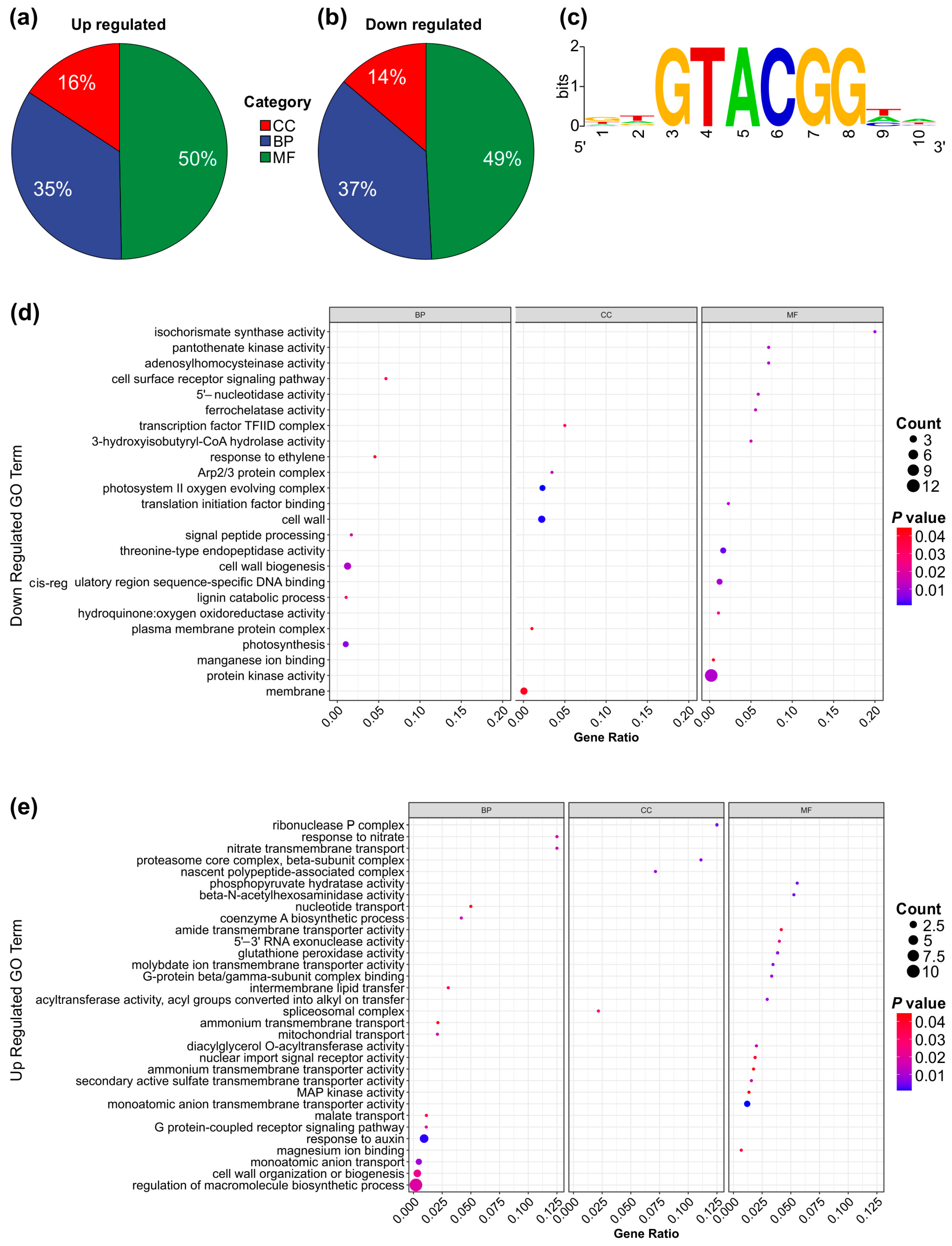 Genes 16 00751 g006