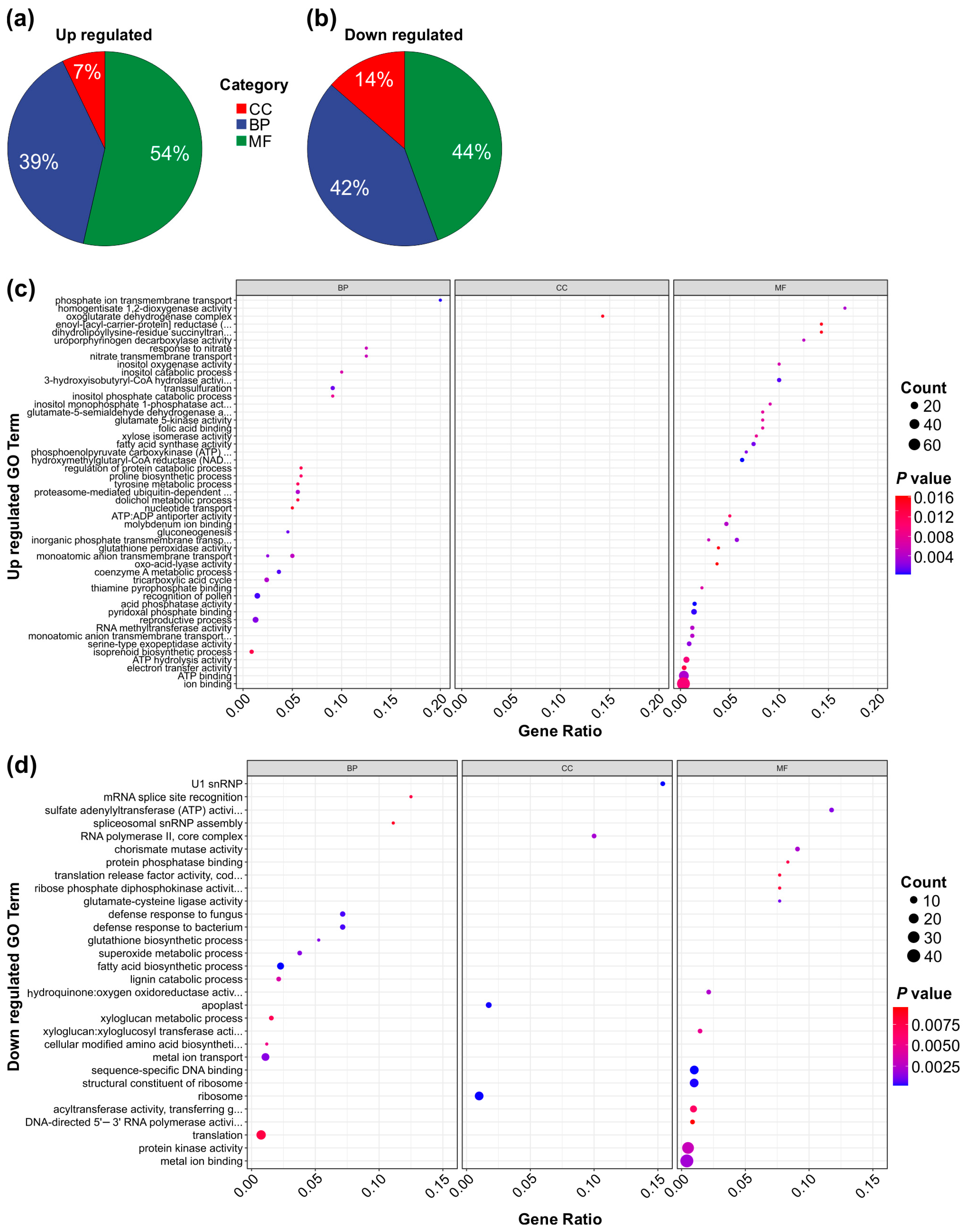 Genes 16 00751 g008