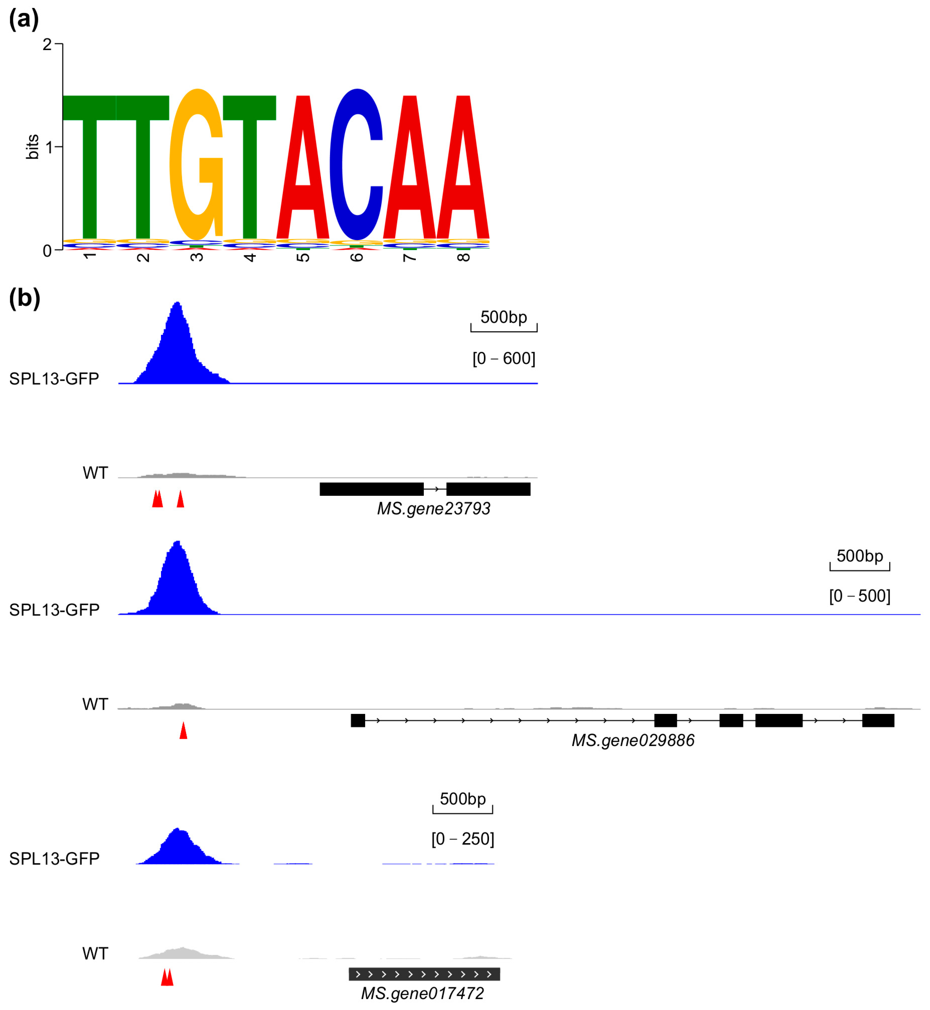 Genes 16 00751 g011