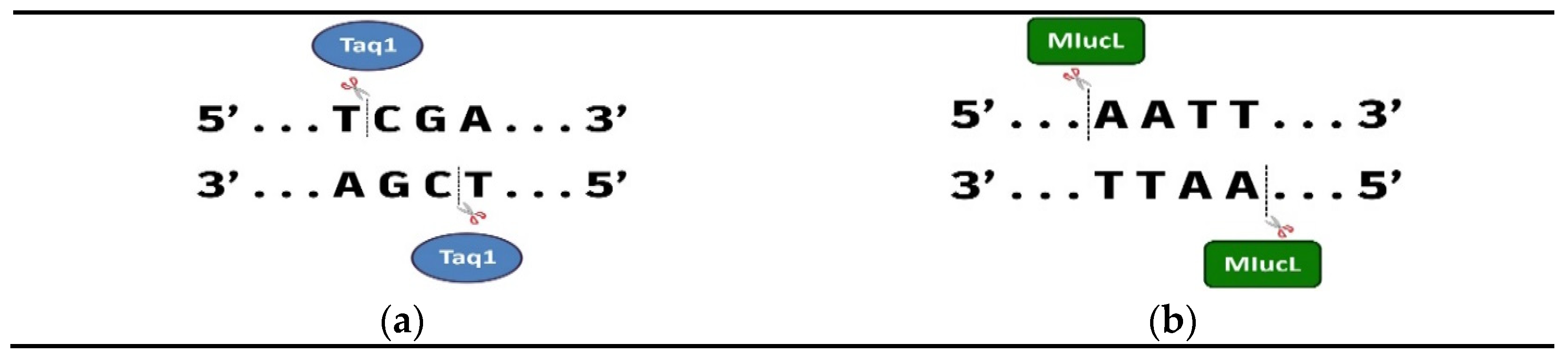 Genes 16 00759 g001