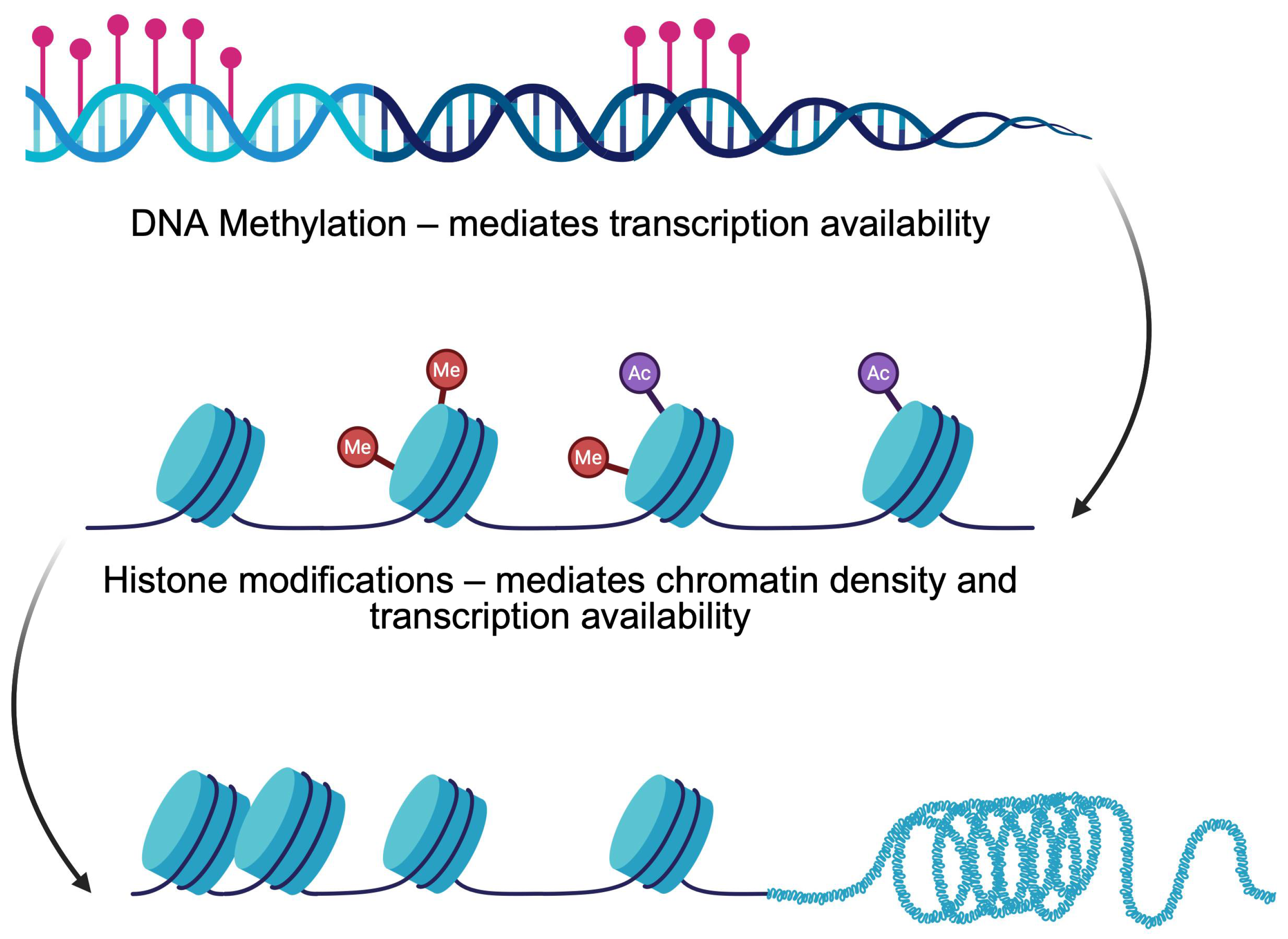 Genes 16 00769 g001