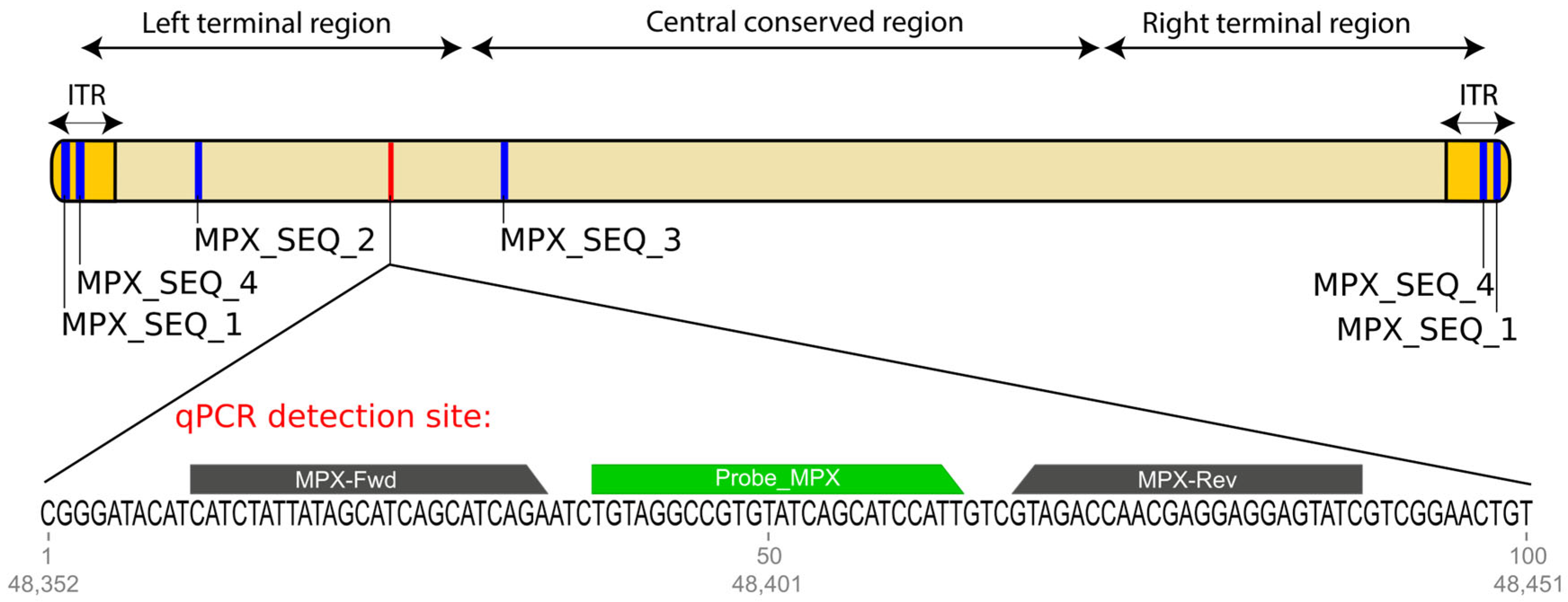 Genes 16 00779 g001 Genes 16 00779 g001