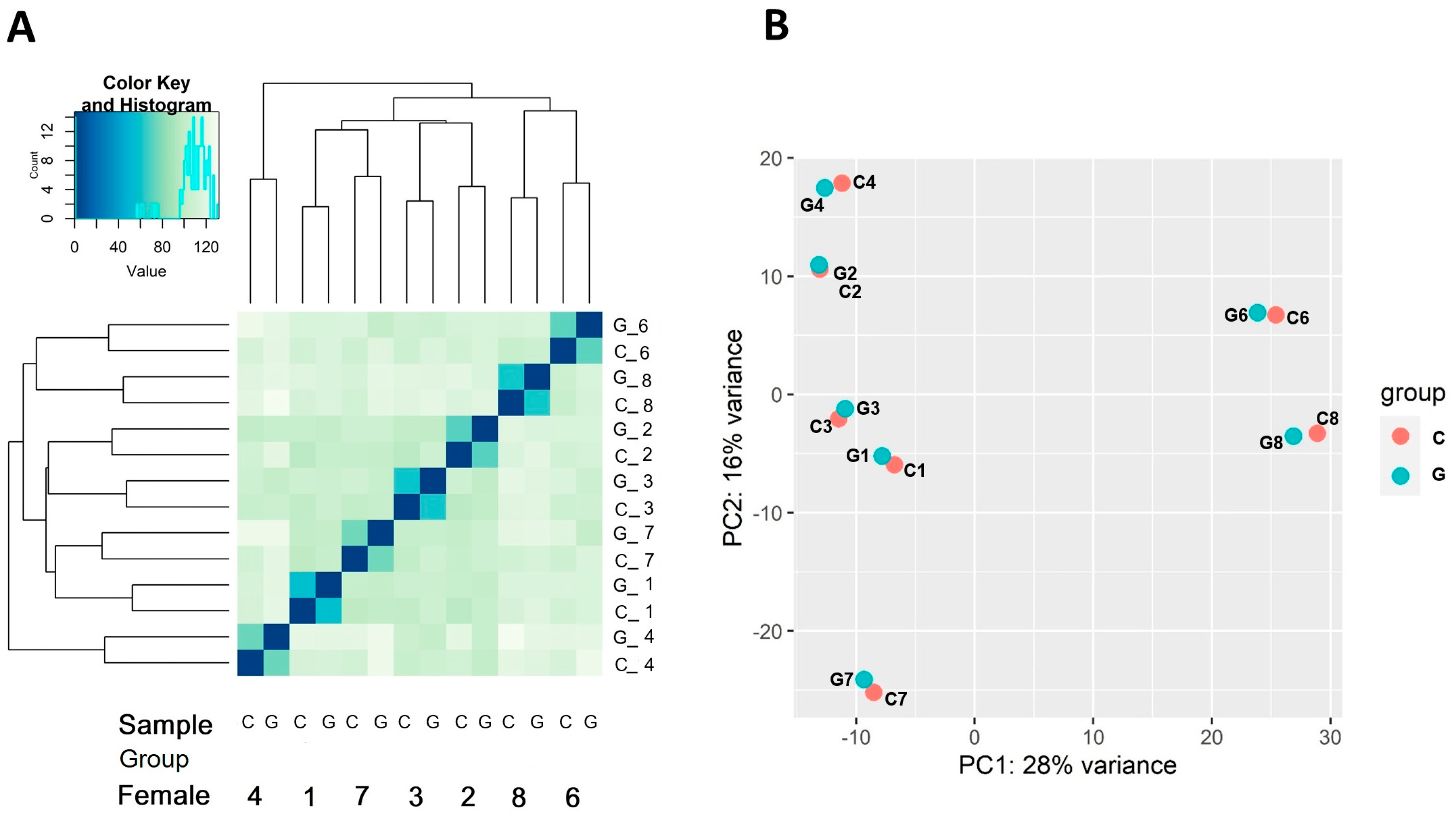 Genes 16 00803 g001