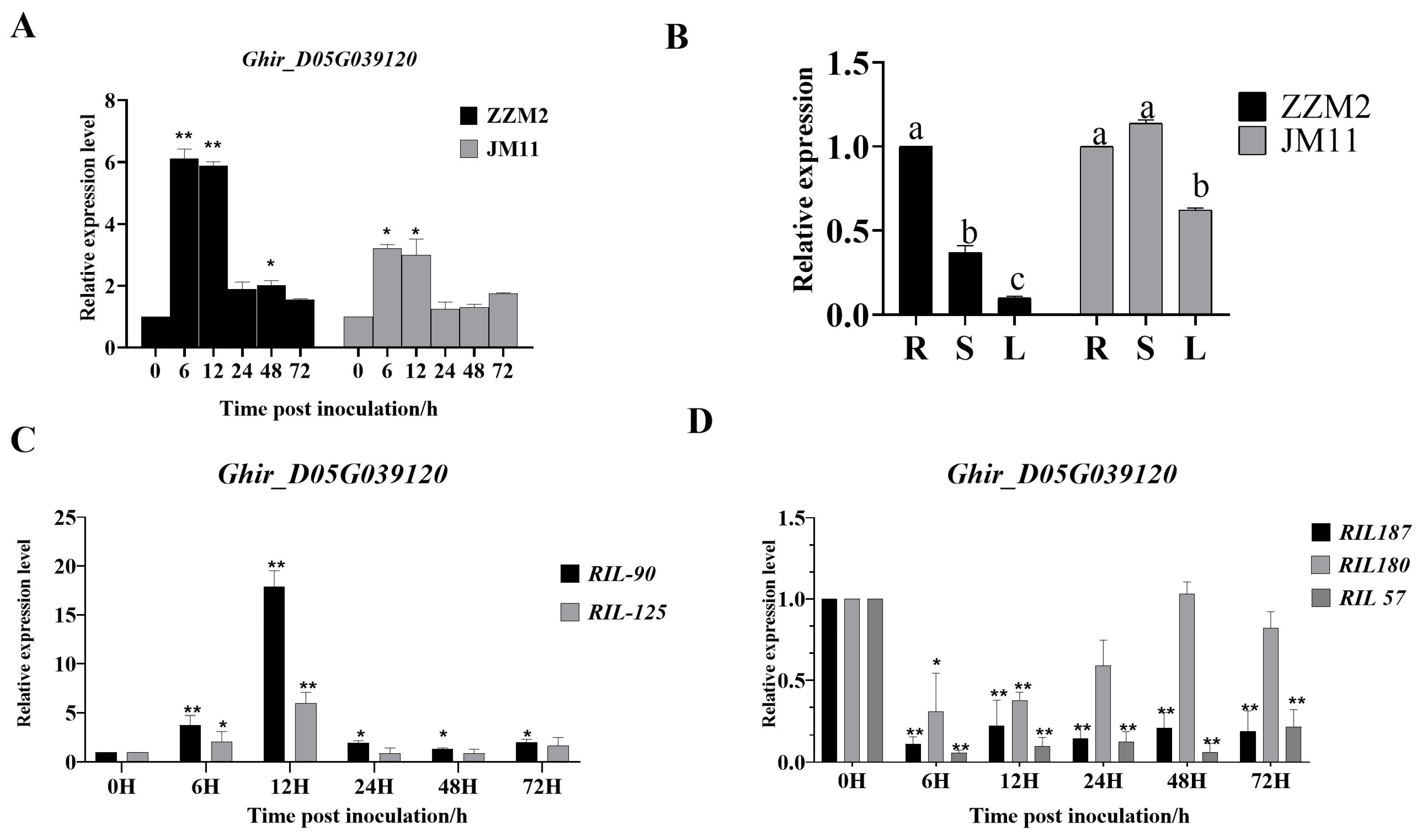 Genes 16 00819 g002