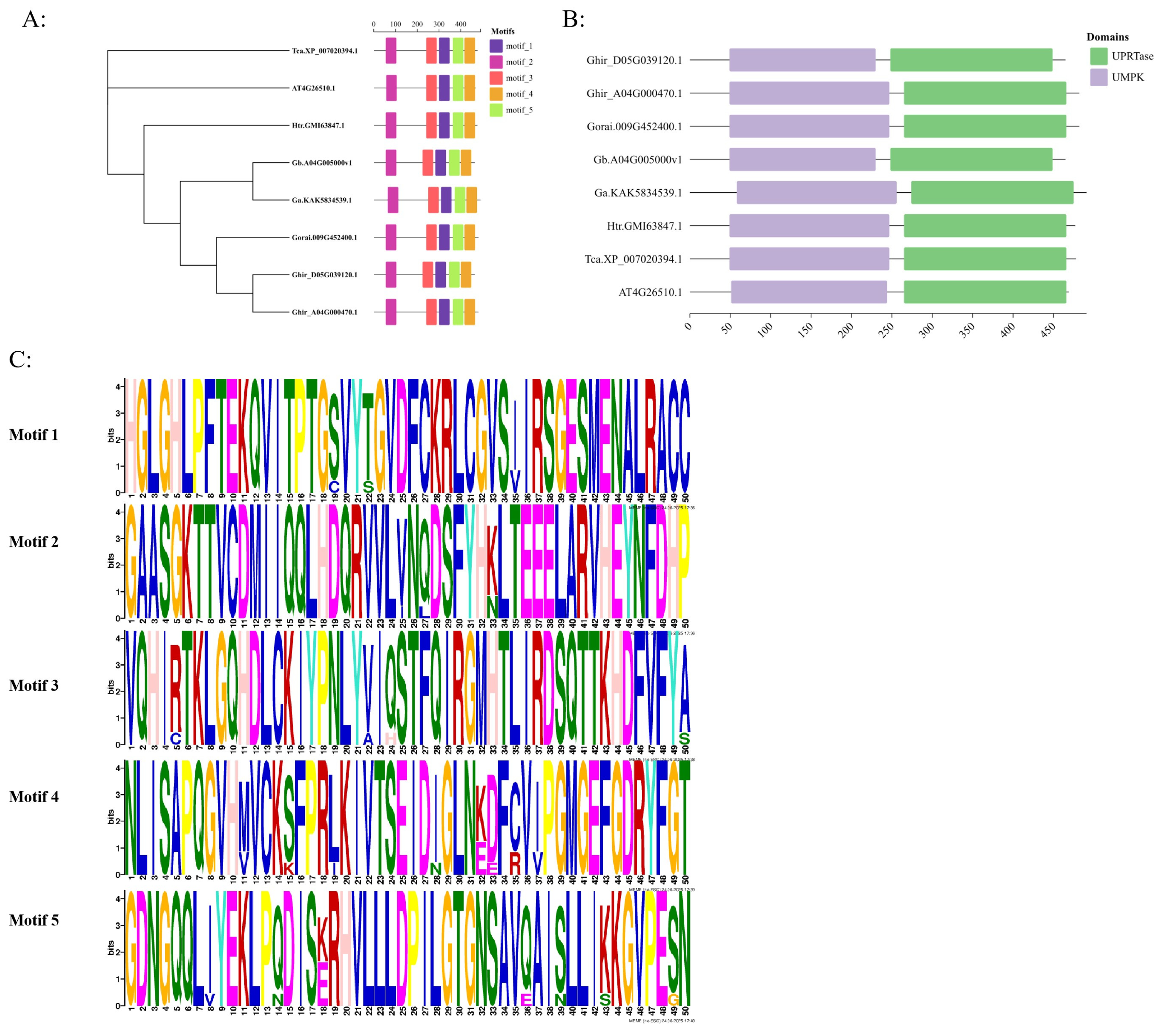 Genes 16 00819 g003a