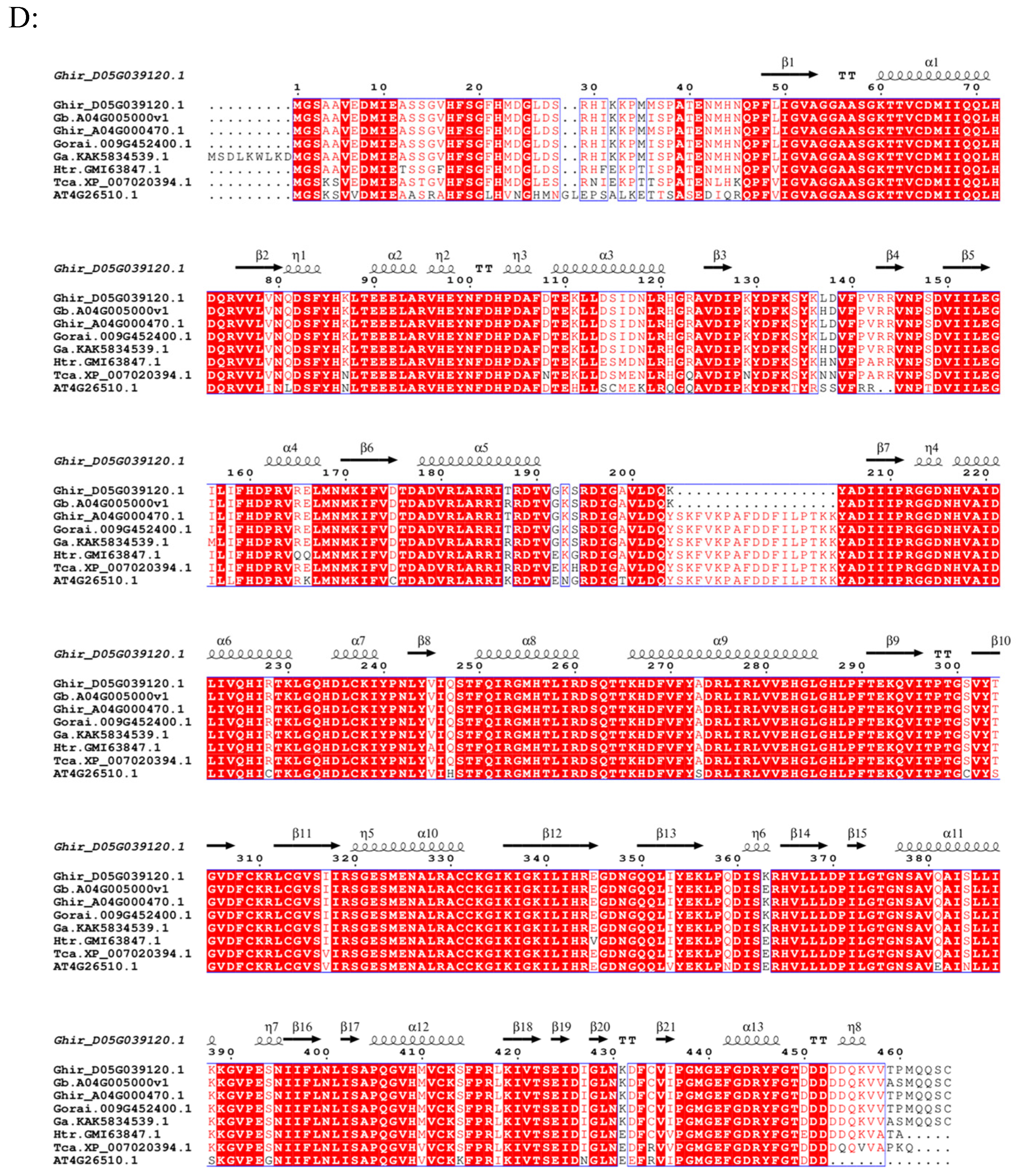 Genes 16 00819 g003b