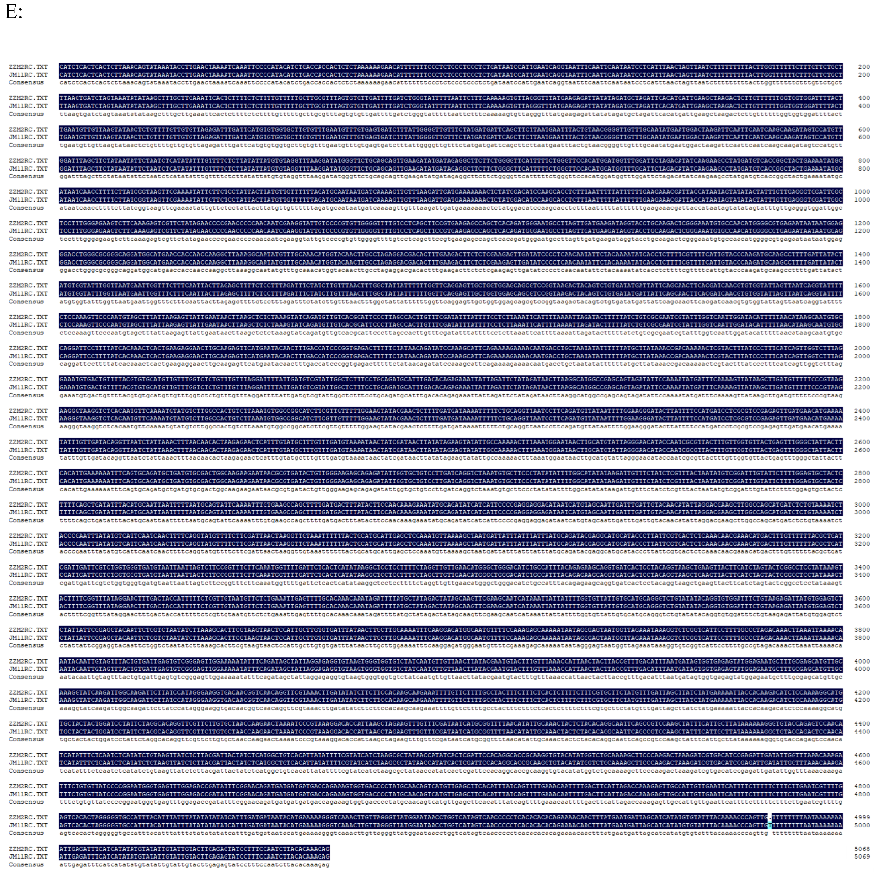 Genes 16 00819 g003c