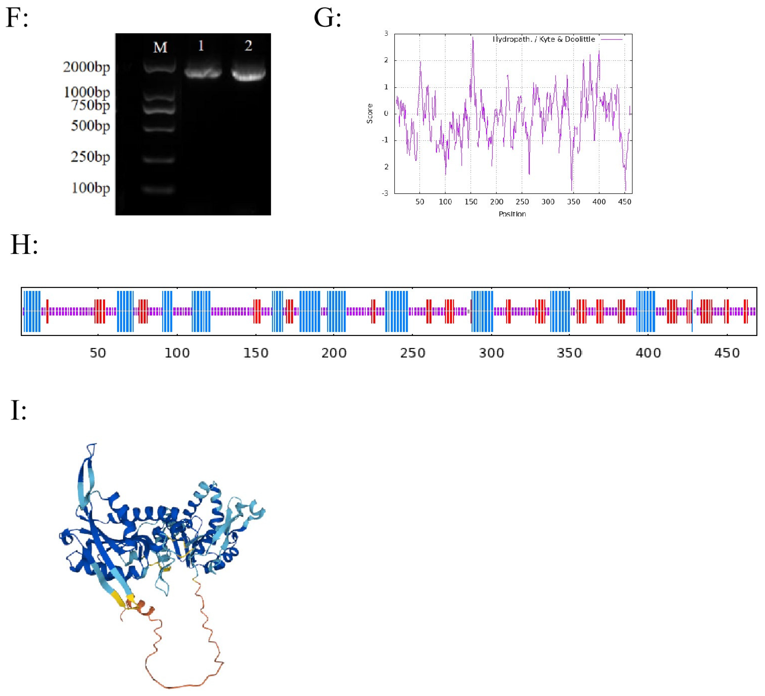 Genes 16 00819 g003d