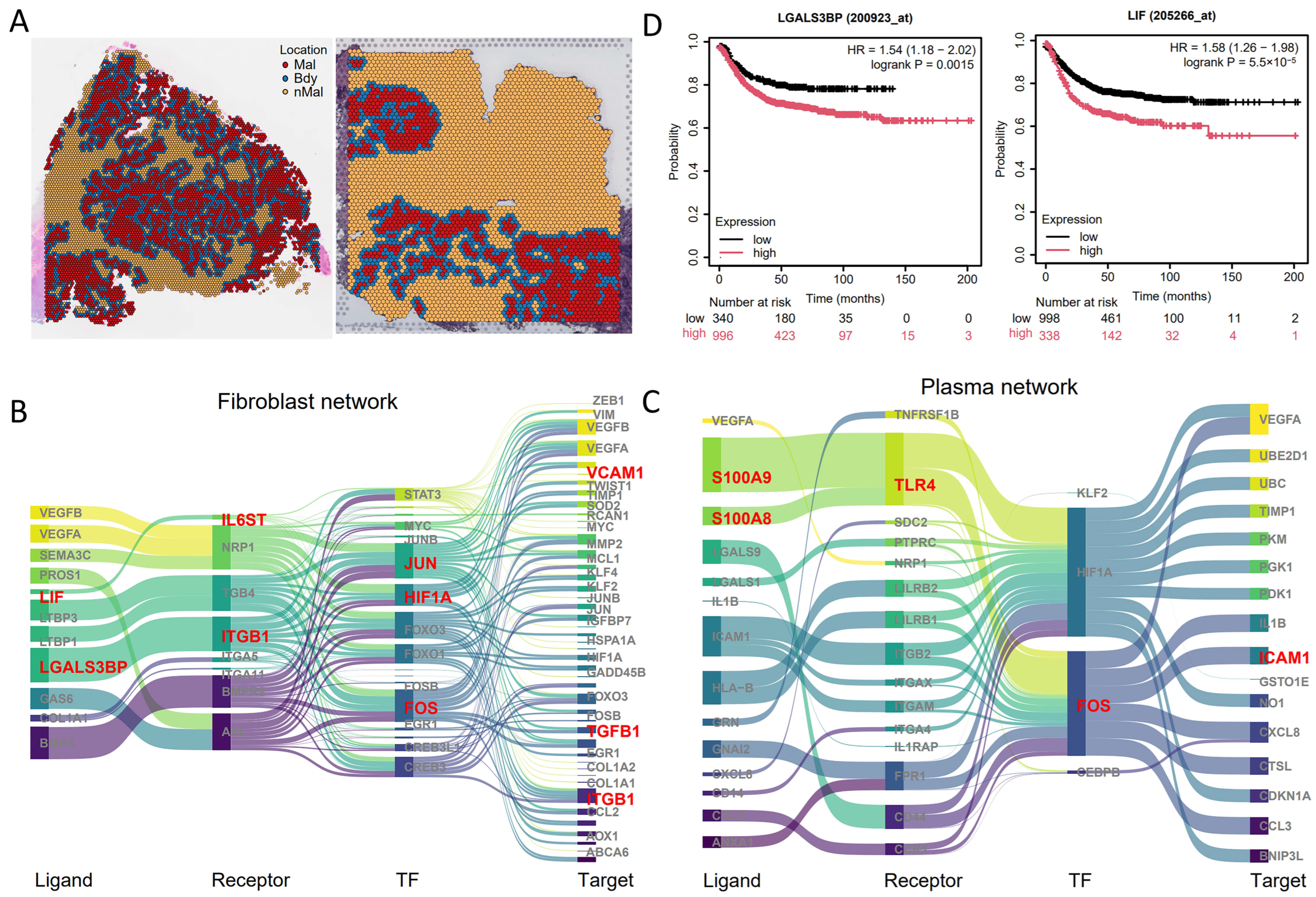 Genes 16 00821 g005