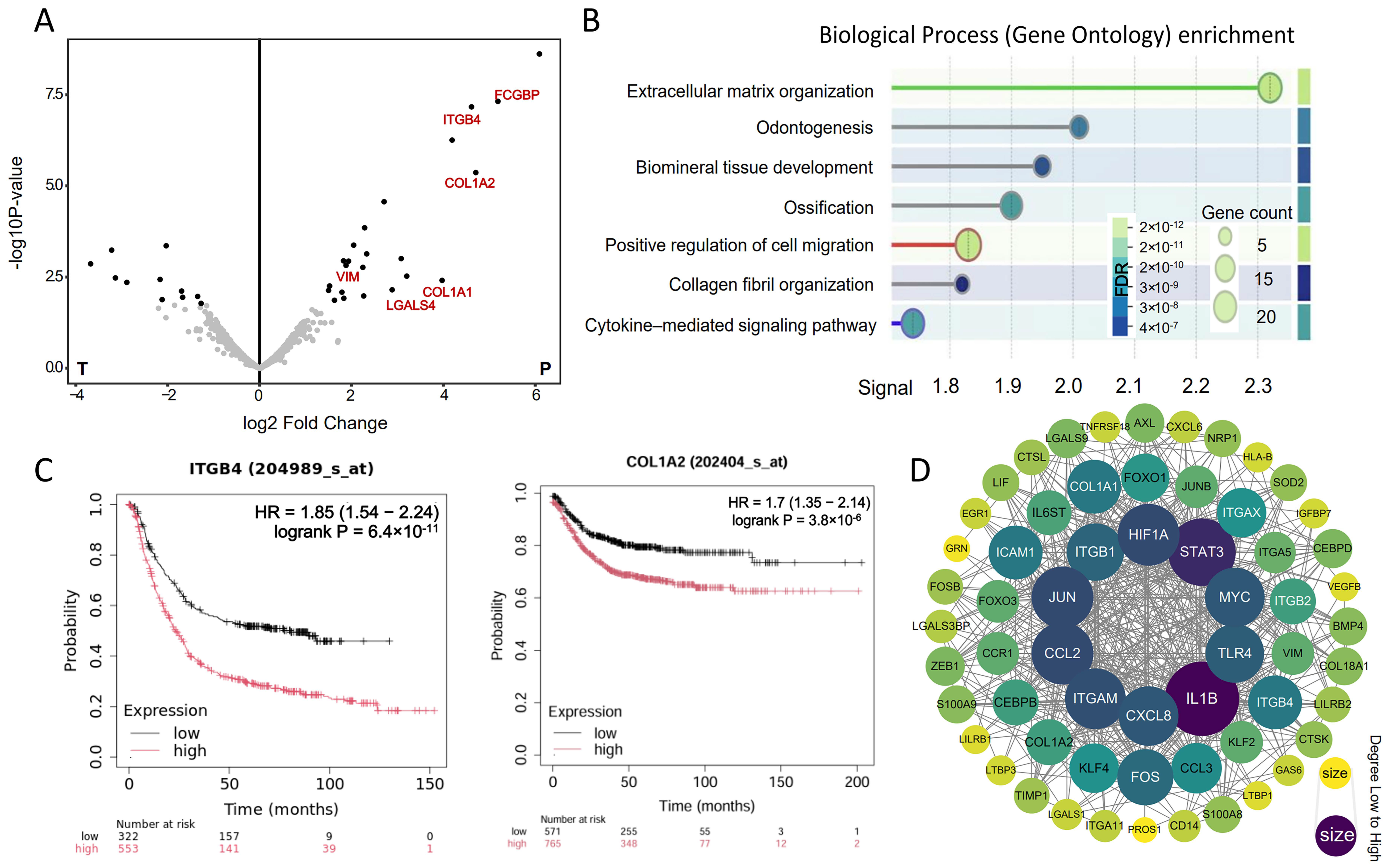 Genes 16 00821 g006