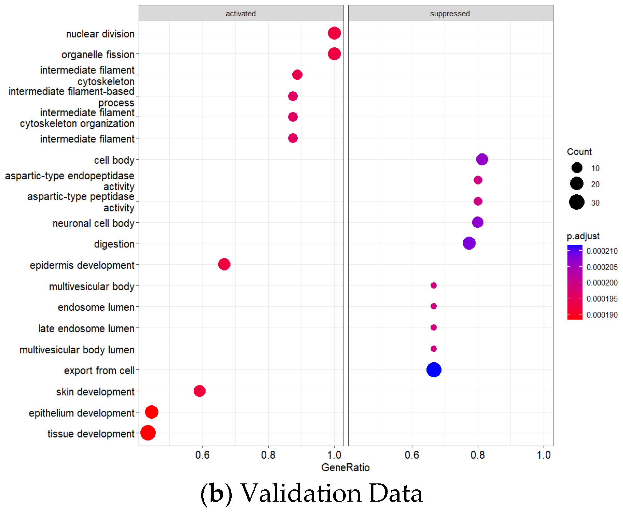 Genes 16 00829 g006b Genes 16 00829 g006b