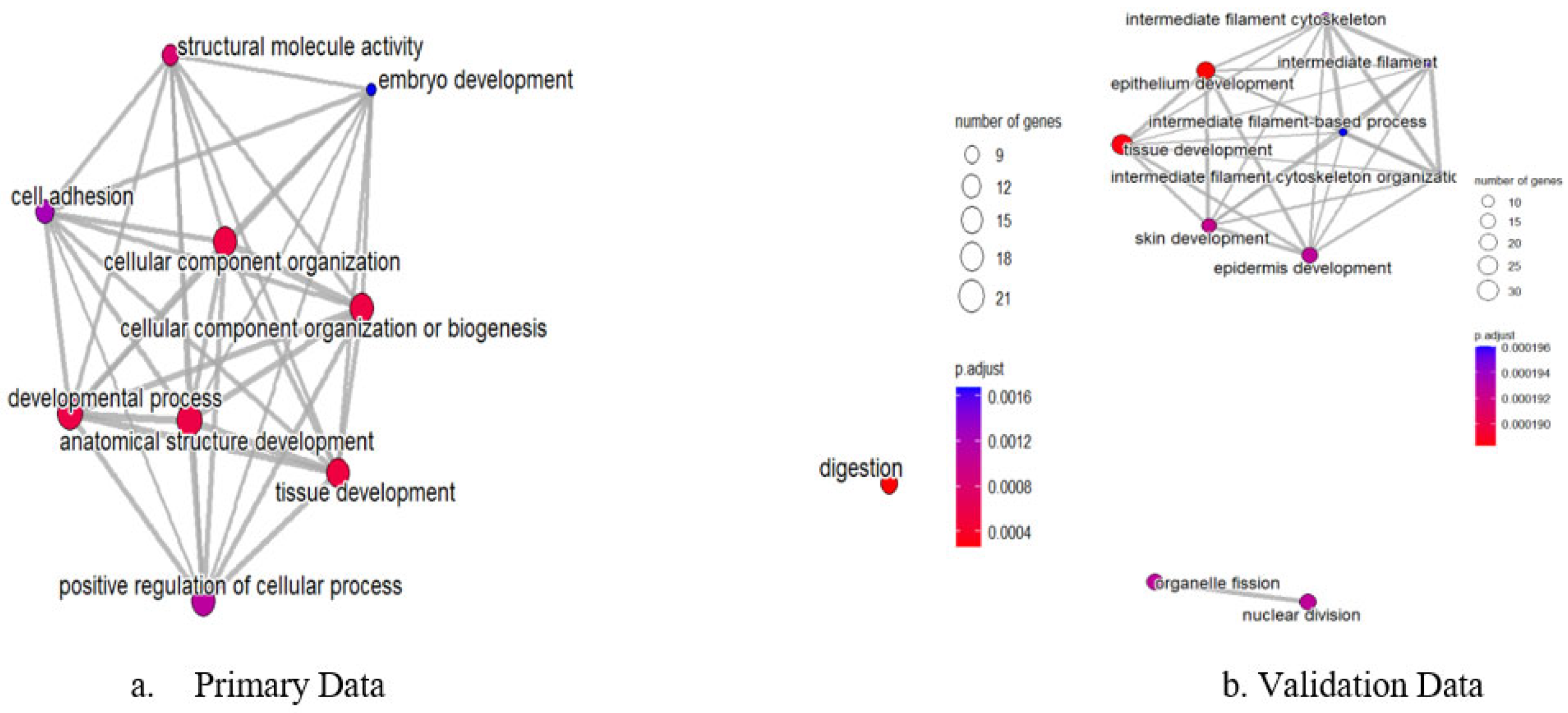Genes 16 00829 g007 Genes 16 00829 g007
