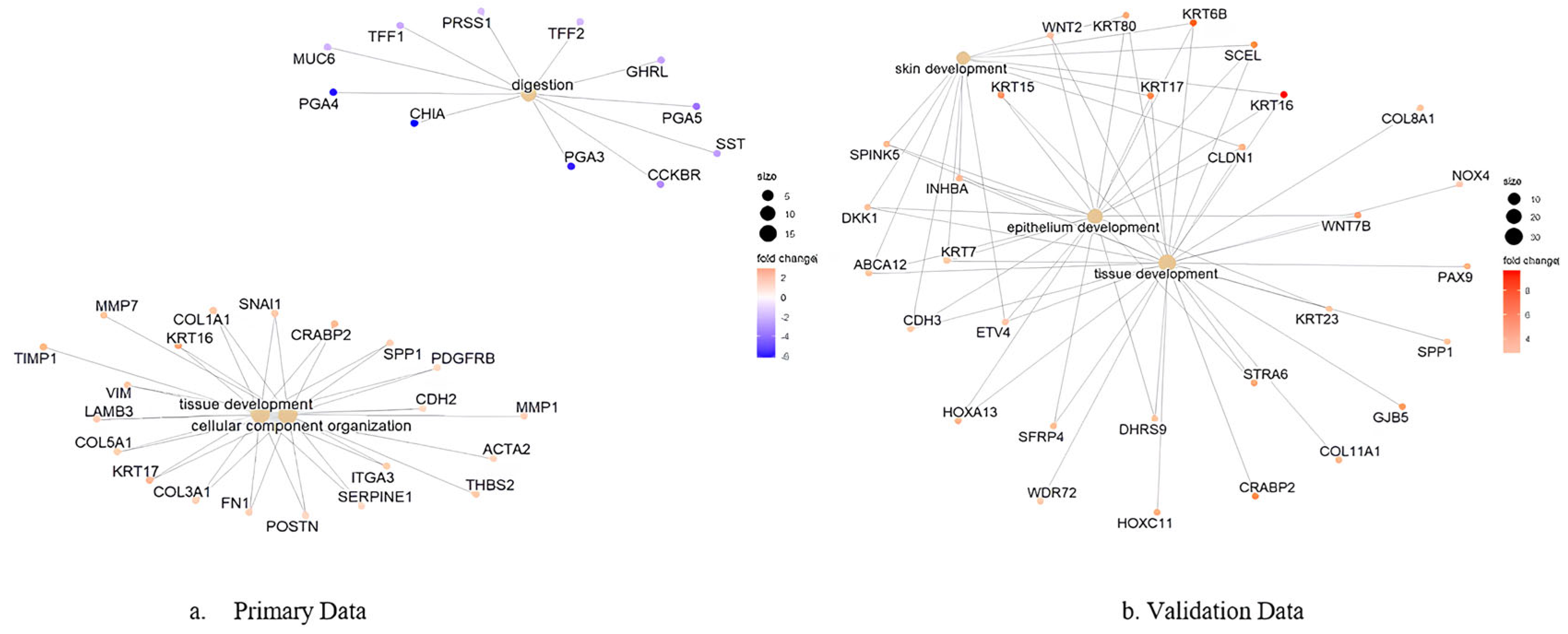 Genes 16 00829 g008 Genes 16 00829 g008