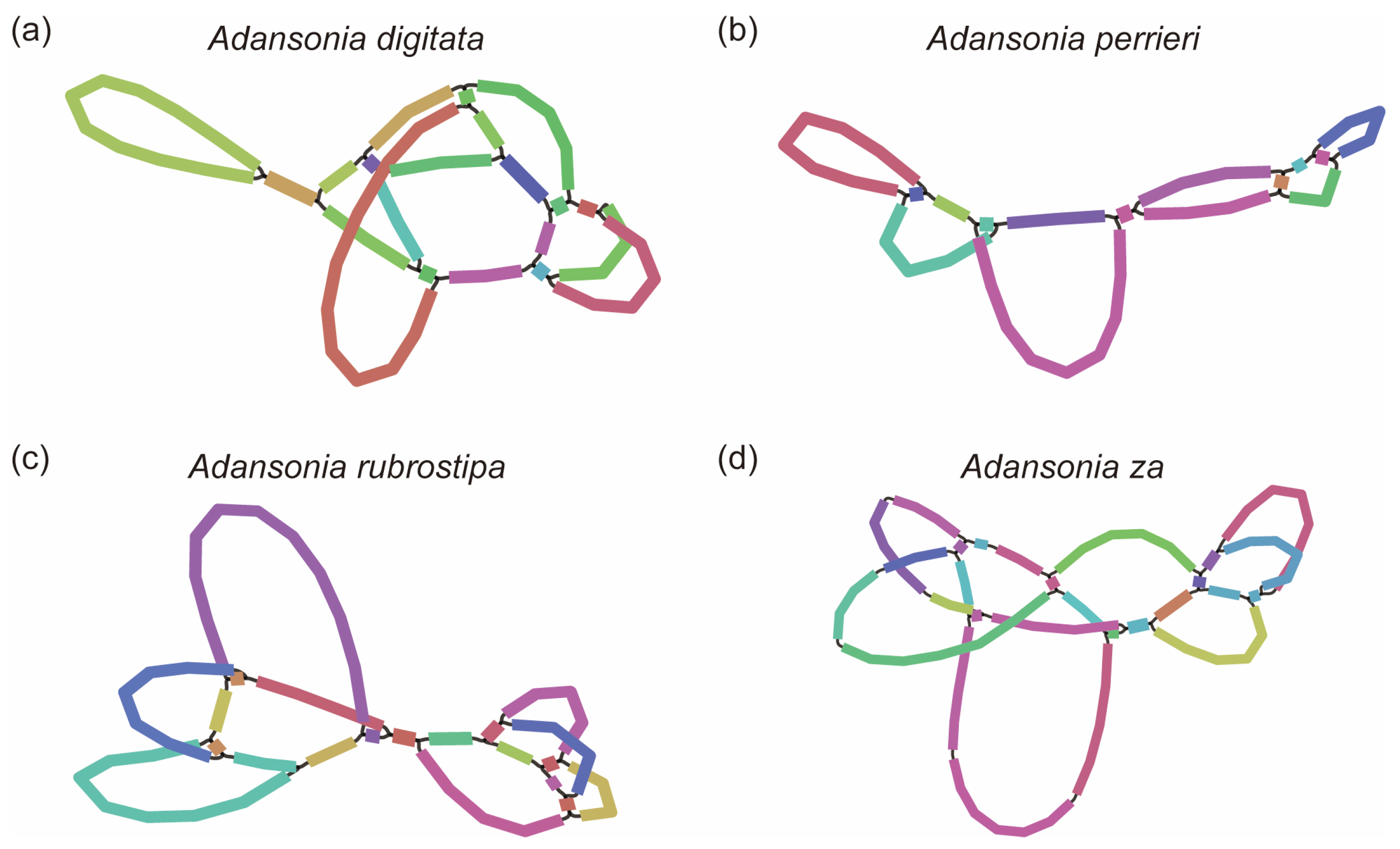 Genes 16 00846 g001