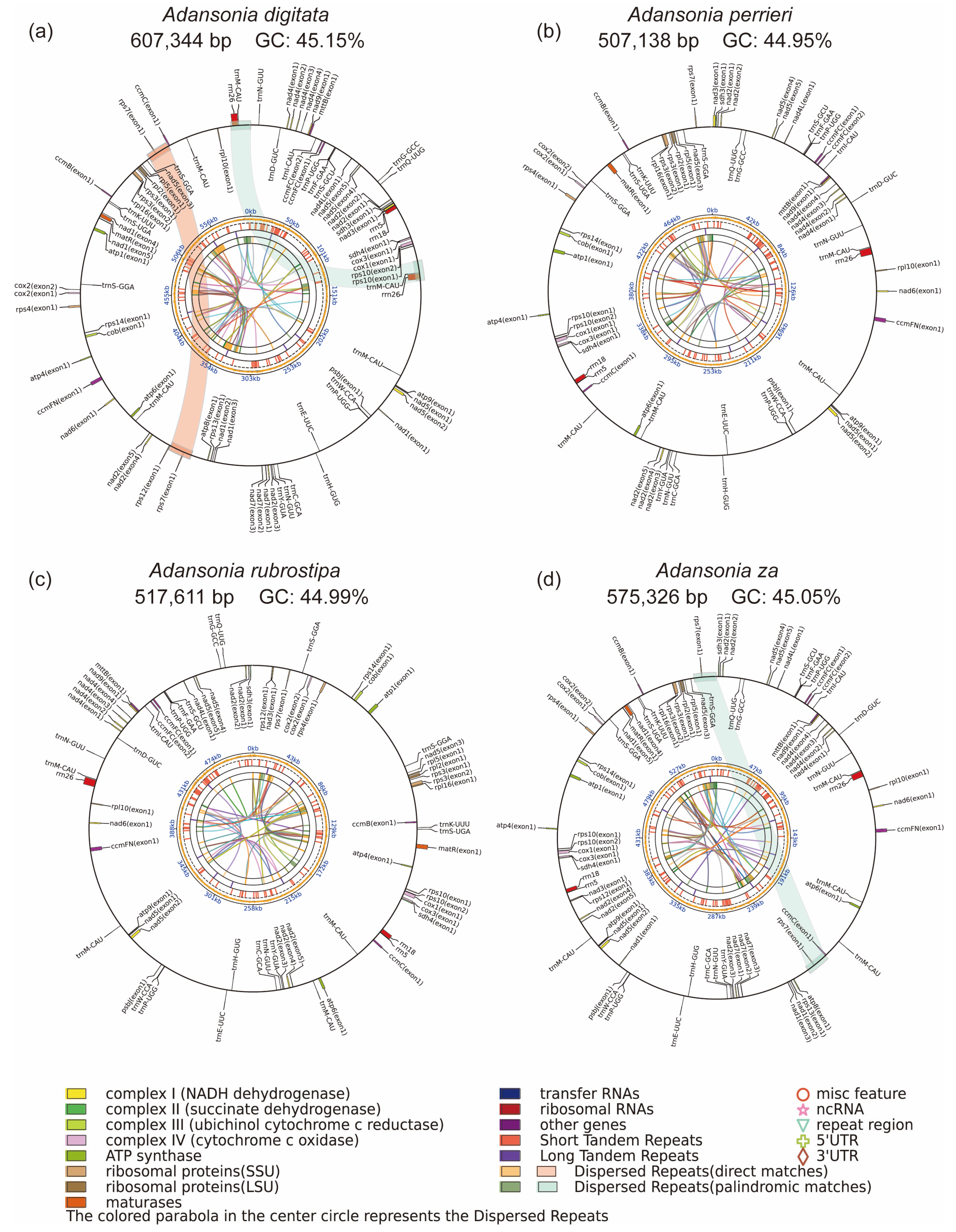 Genes 16 00846 g002
