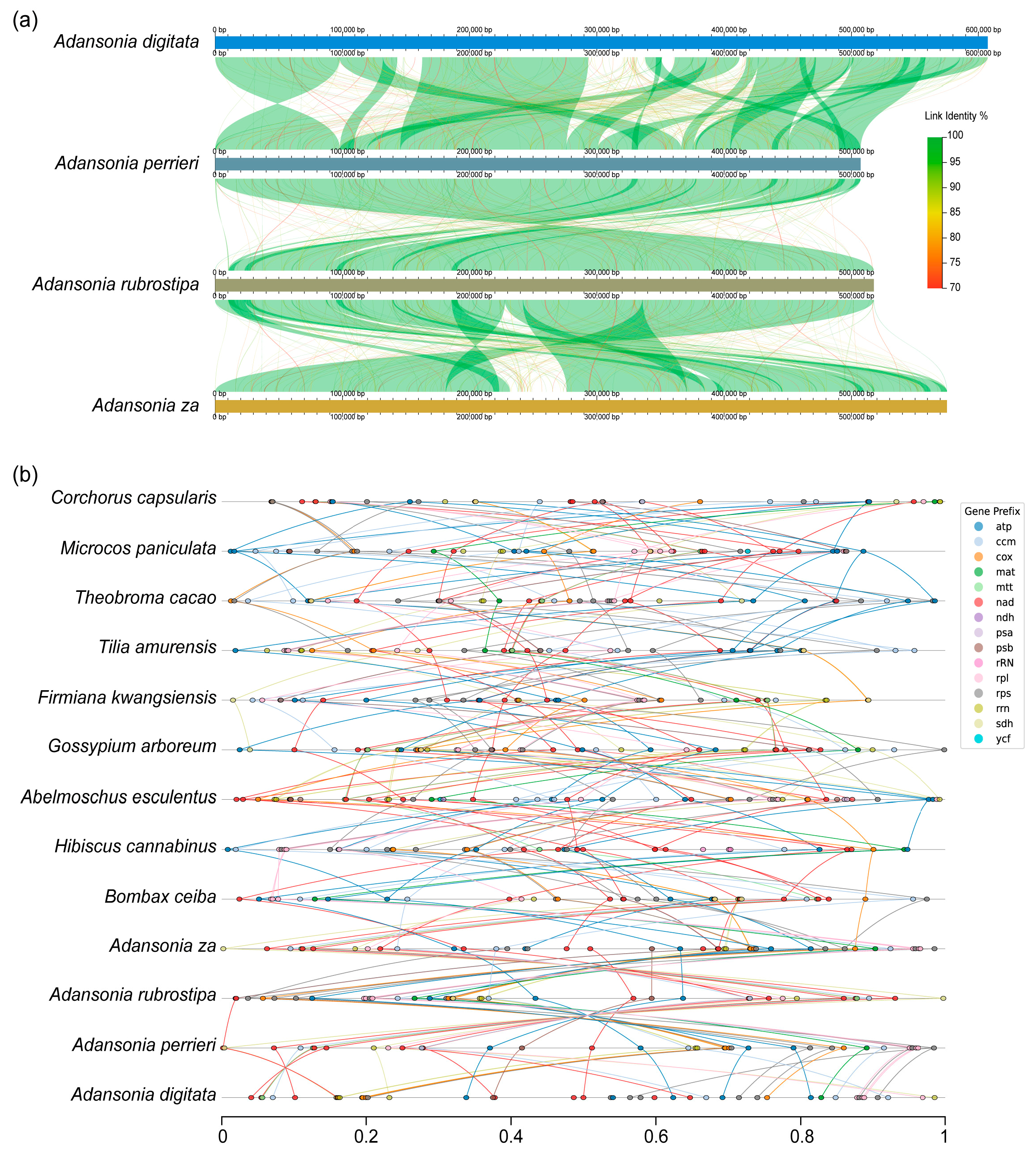 Genes 16 00846 g004