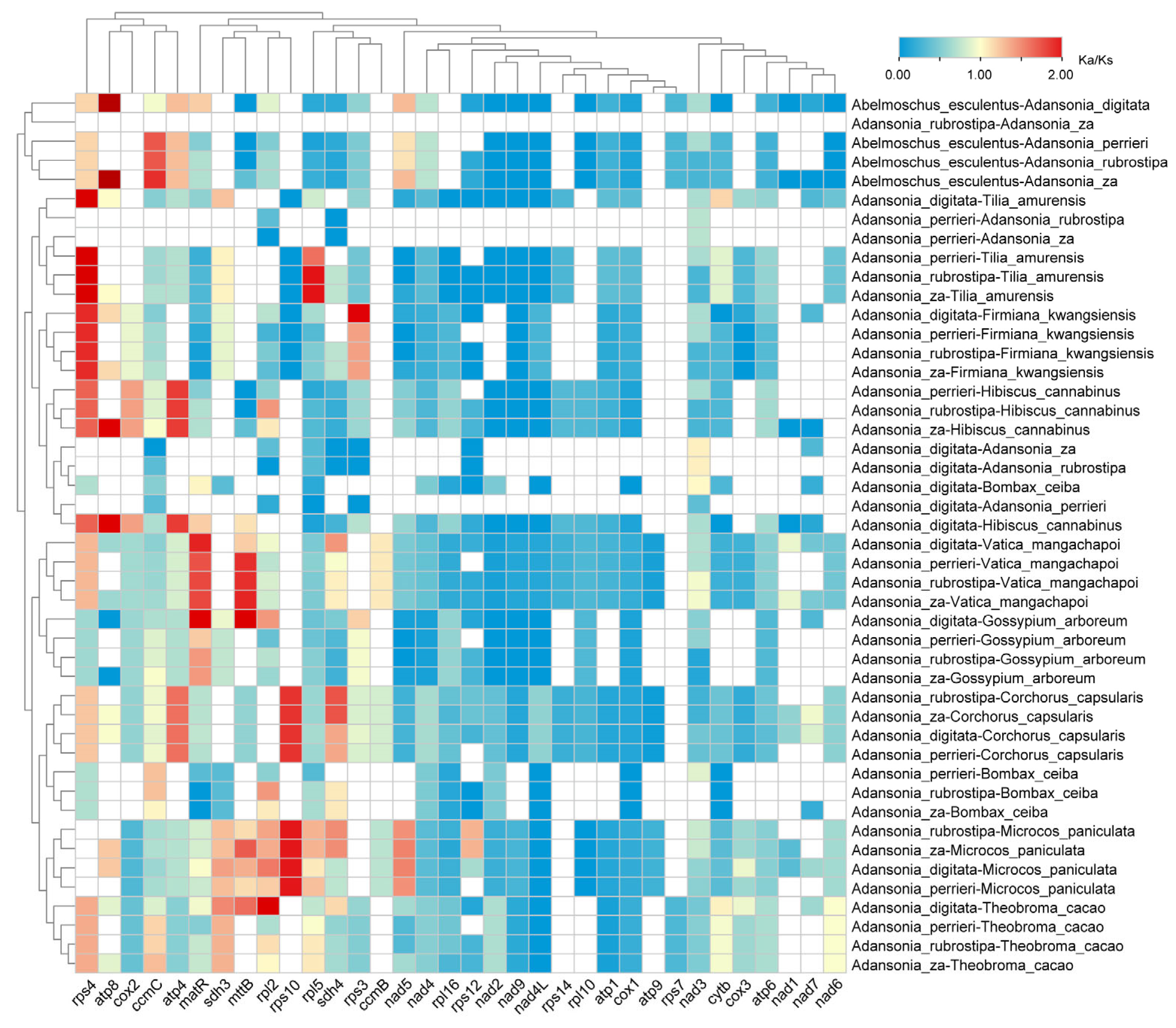 Genes 16 00846 g006