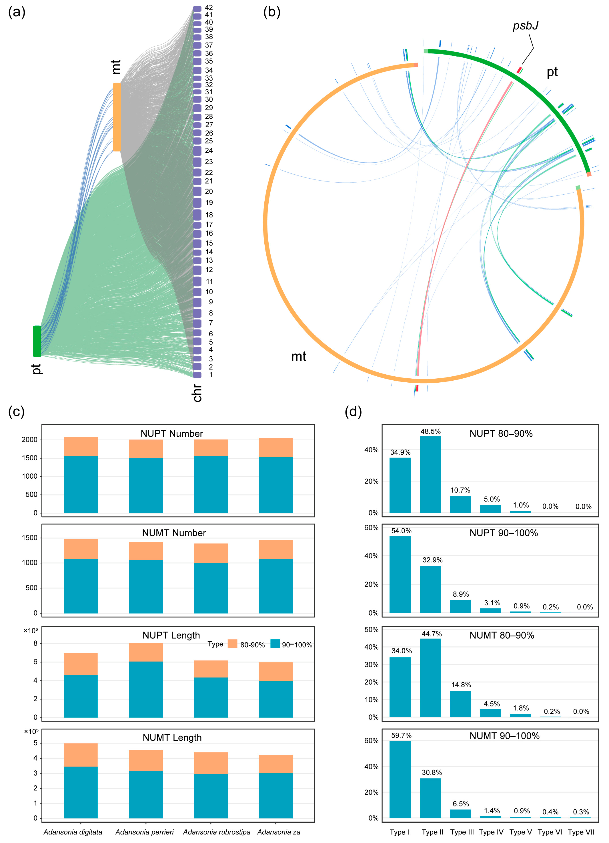 Genes 16 00846 g007
